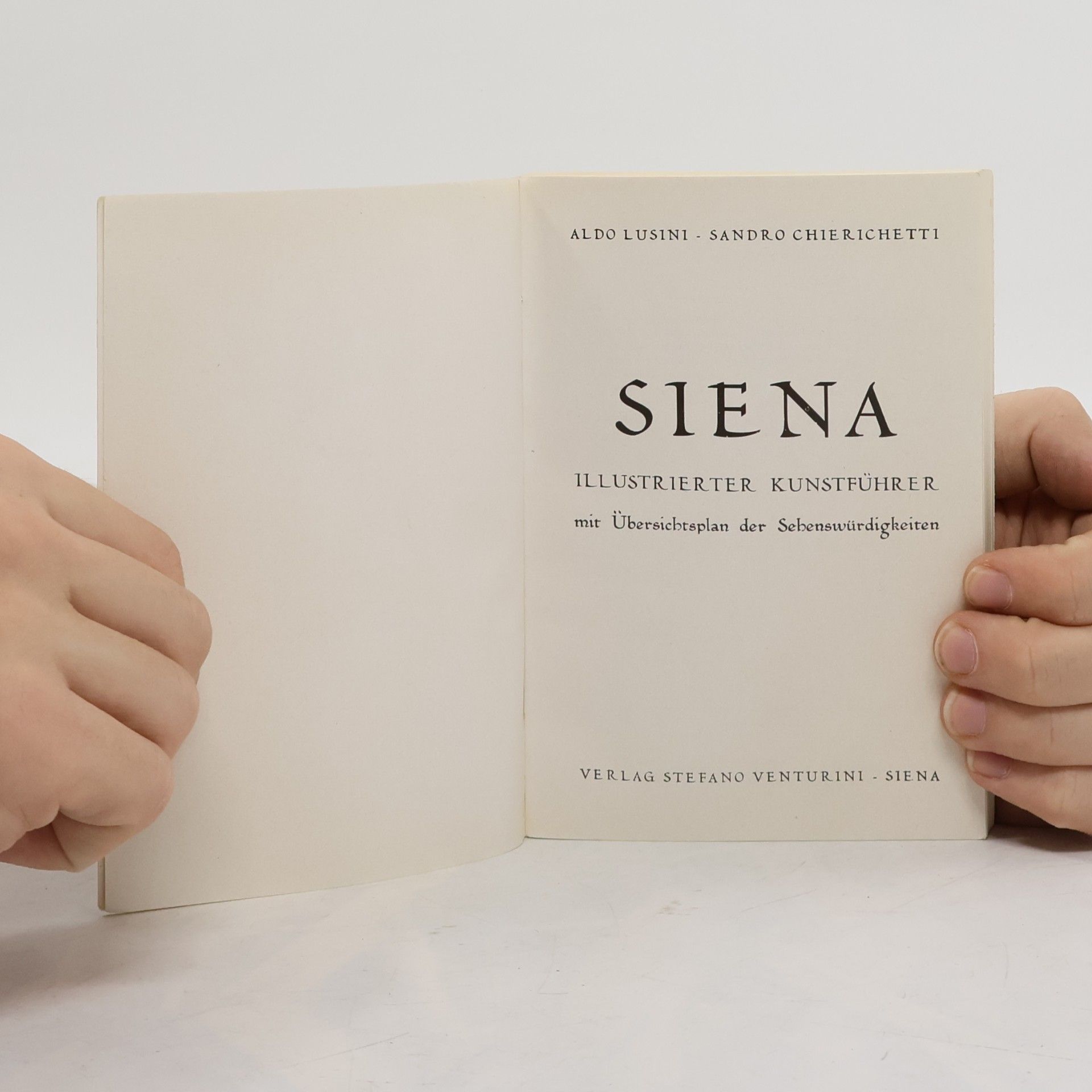 Sandro Chierichetti Siena. Guida artistica illustrata