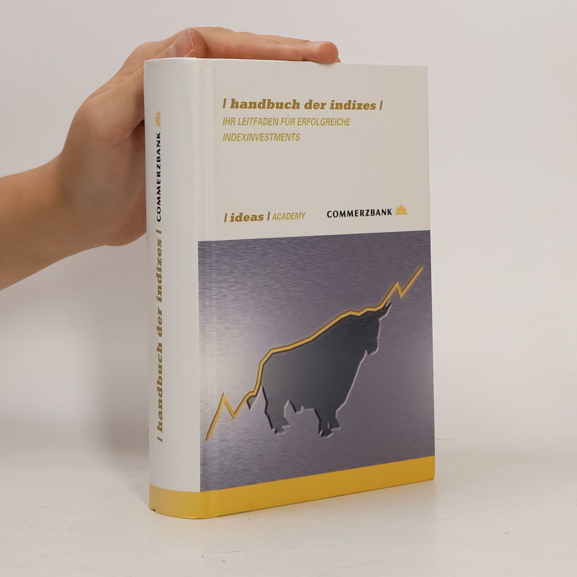 Autorenkollektiv Handbuch der Indizes