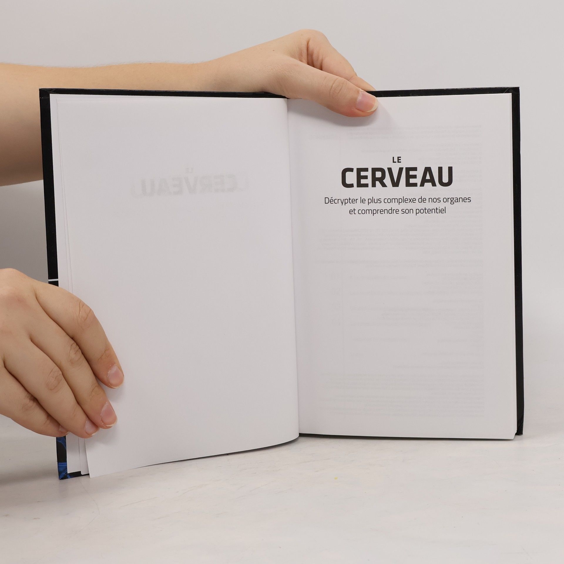 Autorenkollektiv Le cerveau. Décrypter le plus complexe de nos organes et comprendre son potentiel