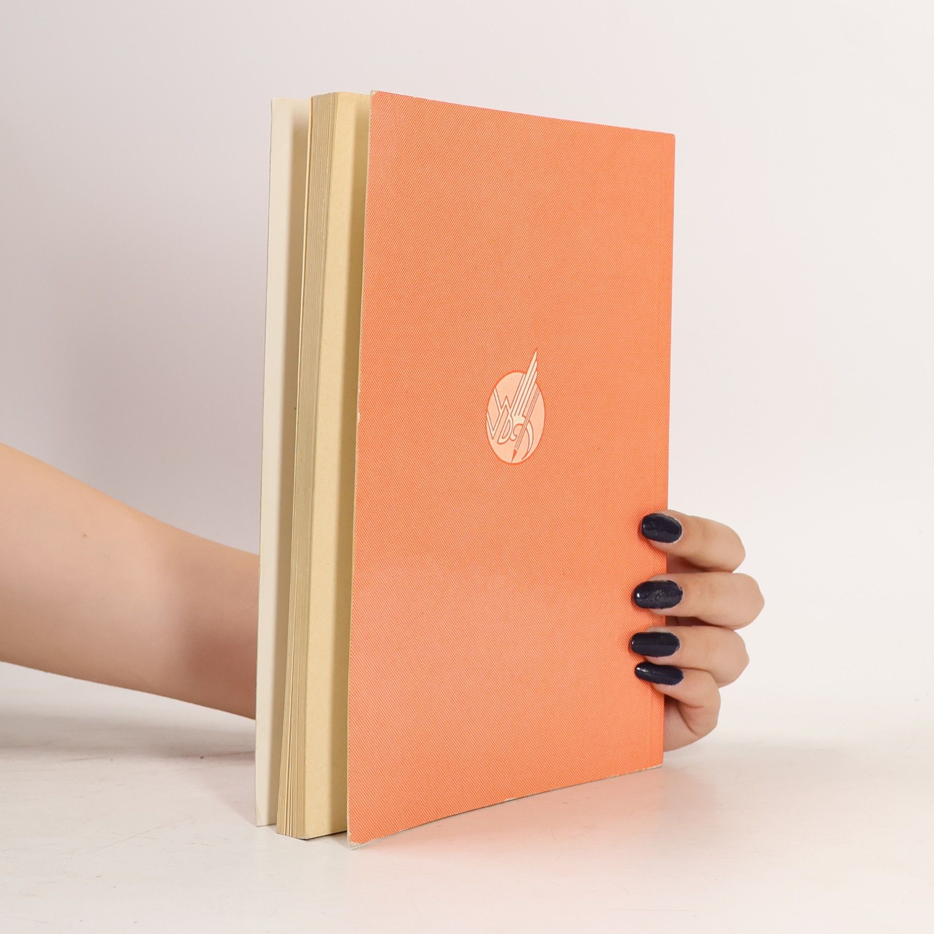 Autores varios Lehrmodelle Buchführung