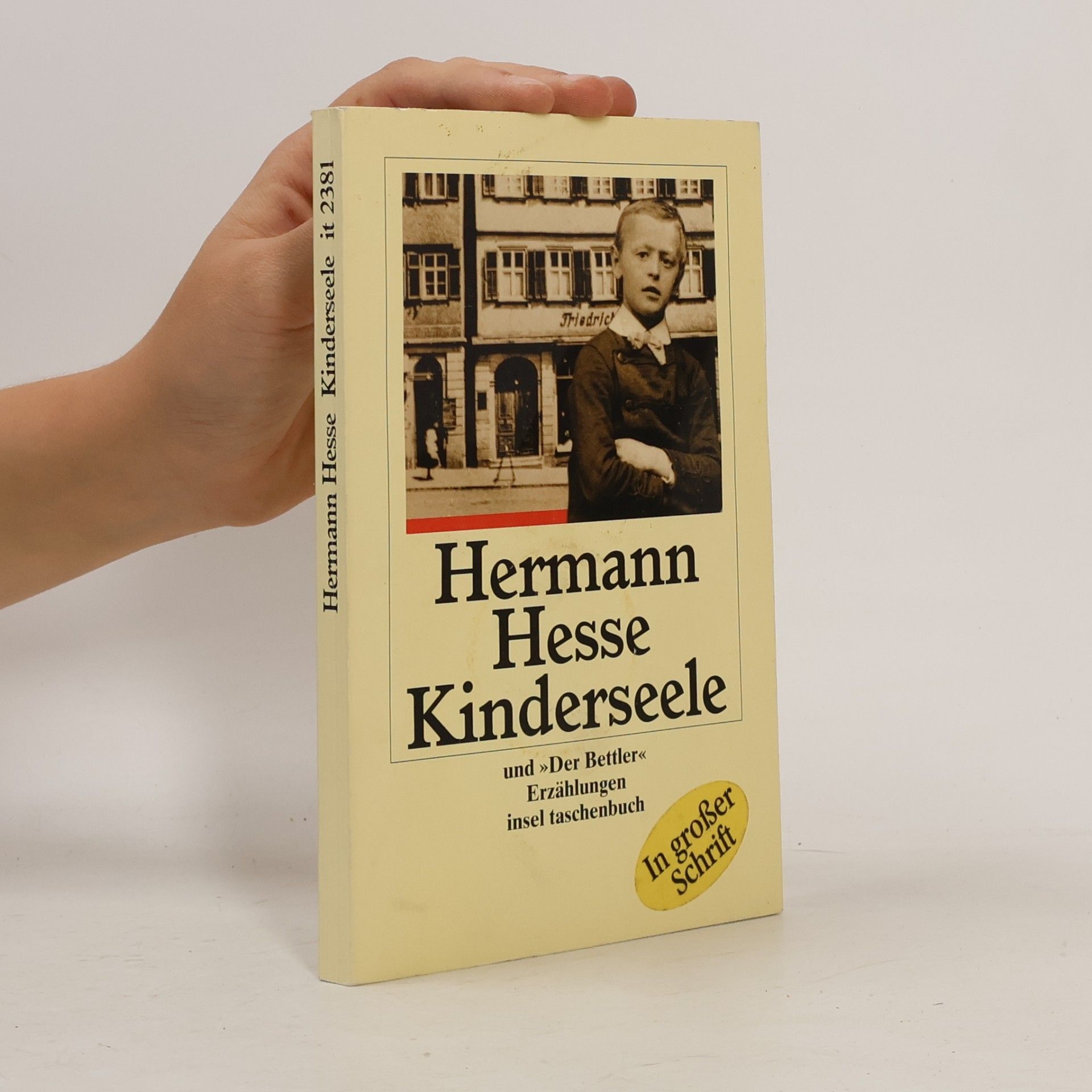 Friedrich Hermann Hesse Kinderseele