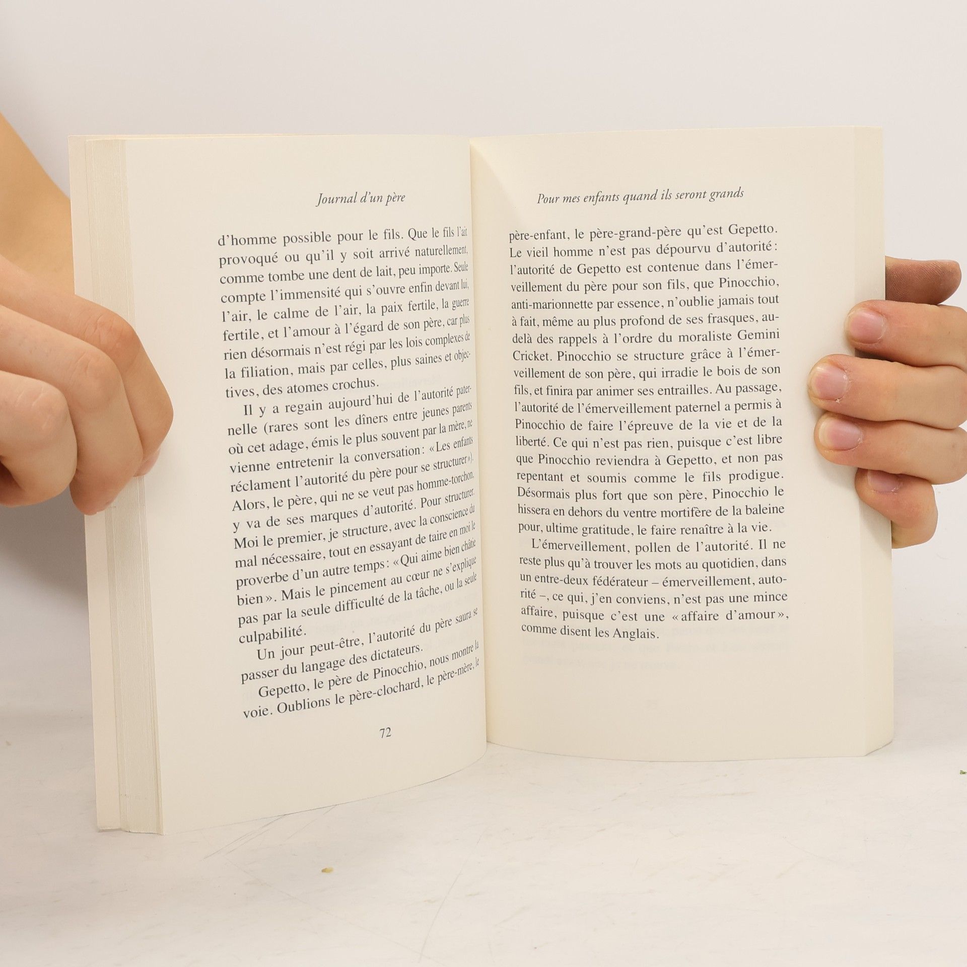 Vincent de Swarte Journal d'un père