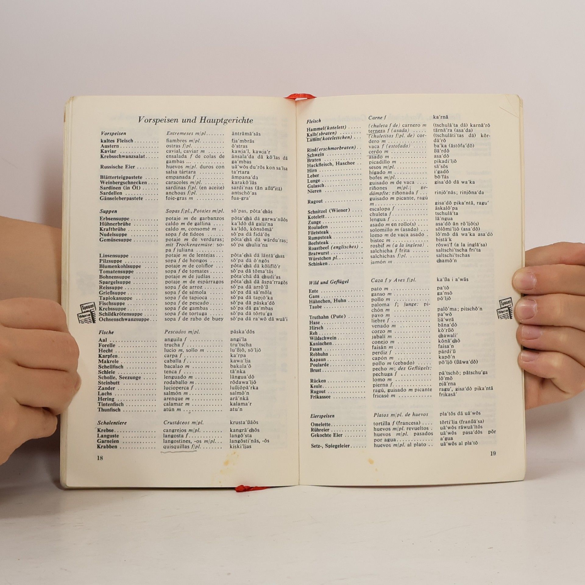Autorenkollektiv Sprachführer Spanisch Polyglott