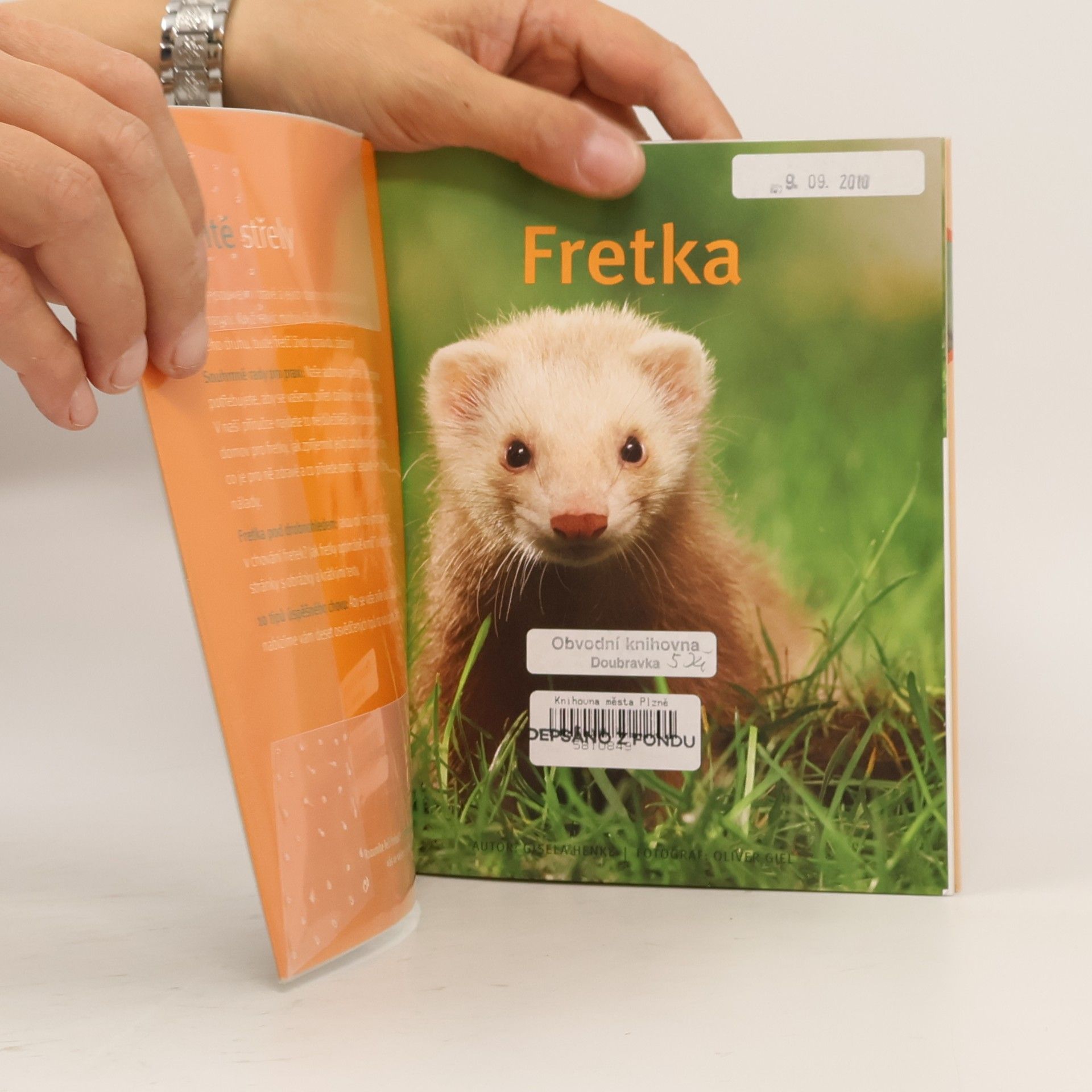 Gisela Henke Fretka