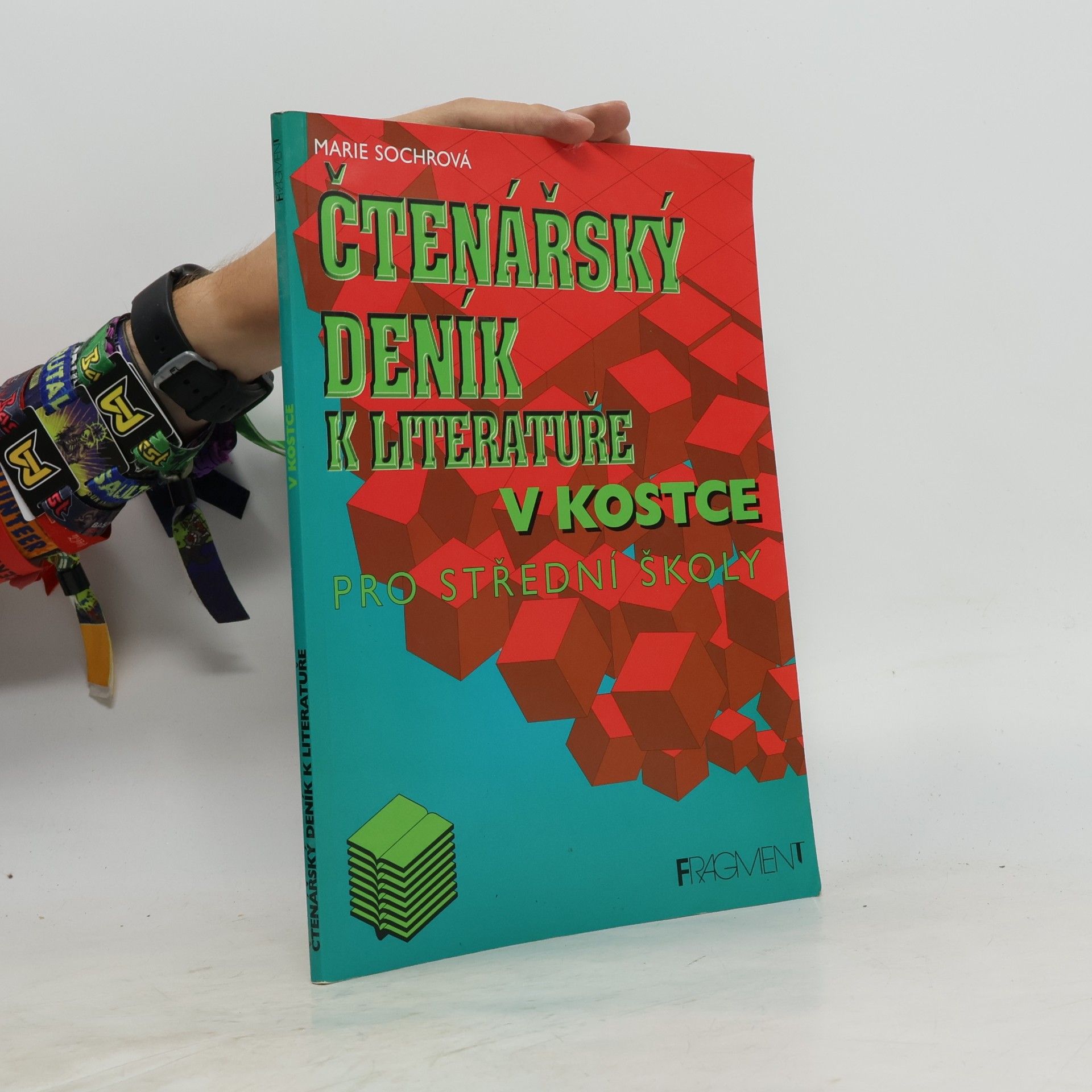 Marie Sochrová Čtenářský deník k Literatuře v kostce