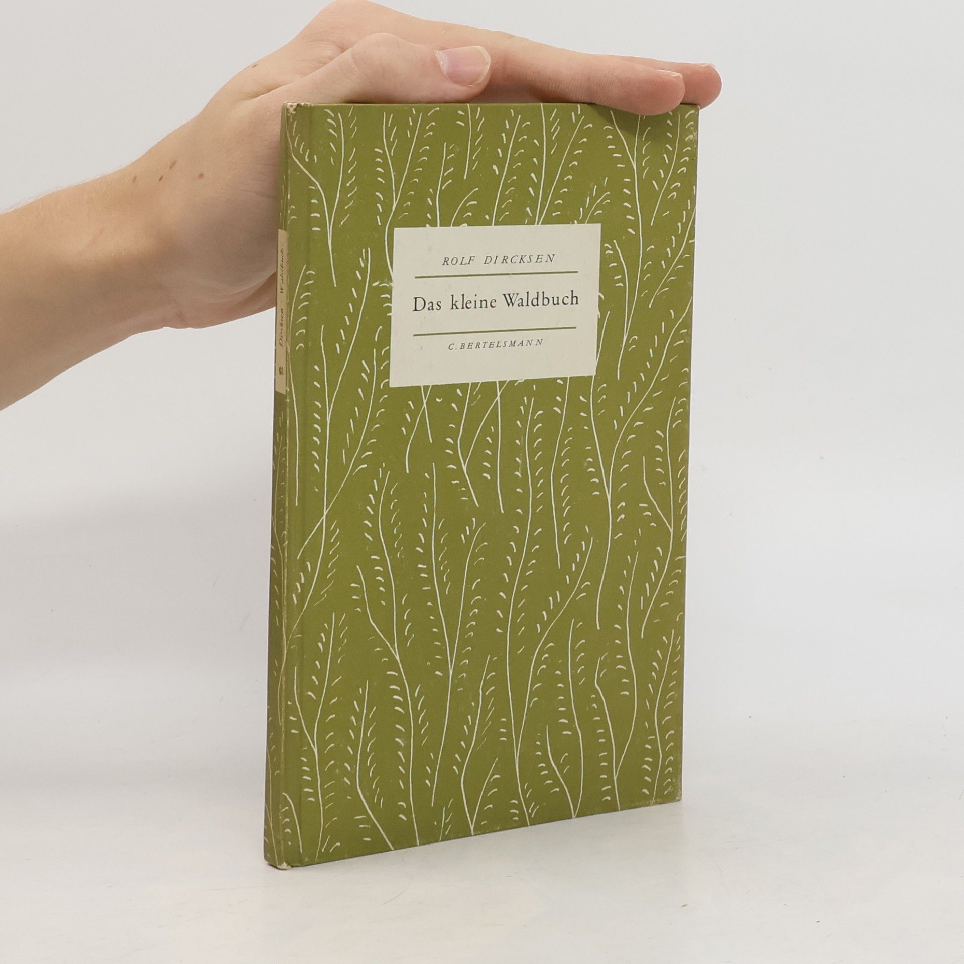 Rolf Dircksen Das kleine Waldbuch