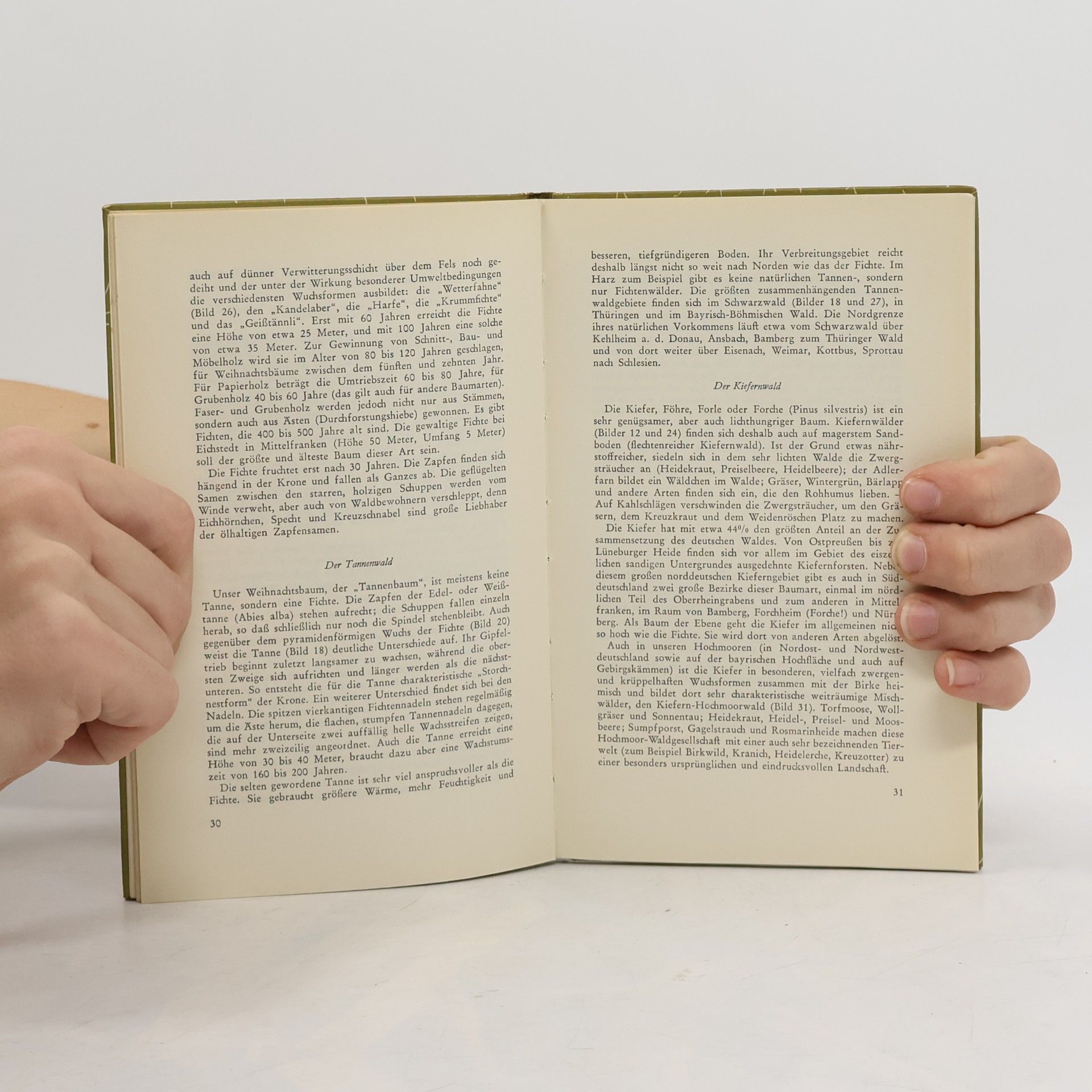 Rolf Dircksen Das kleine Waldbuch