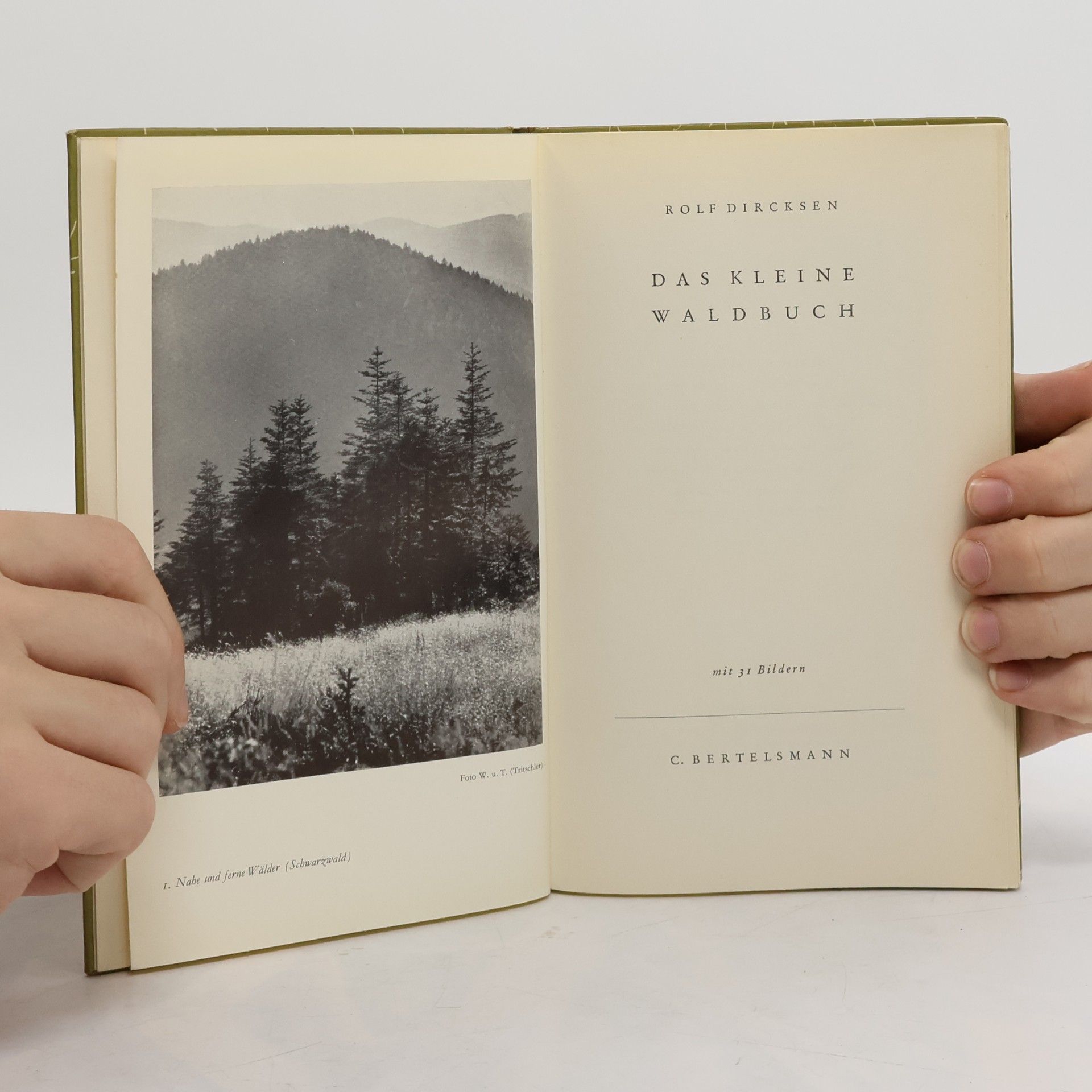 Rolf Dircksen Das kleine Waldbuch