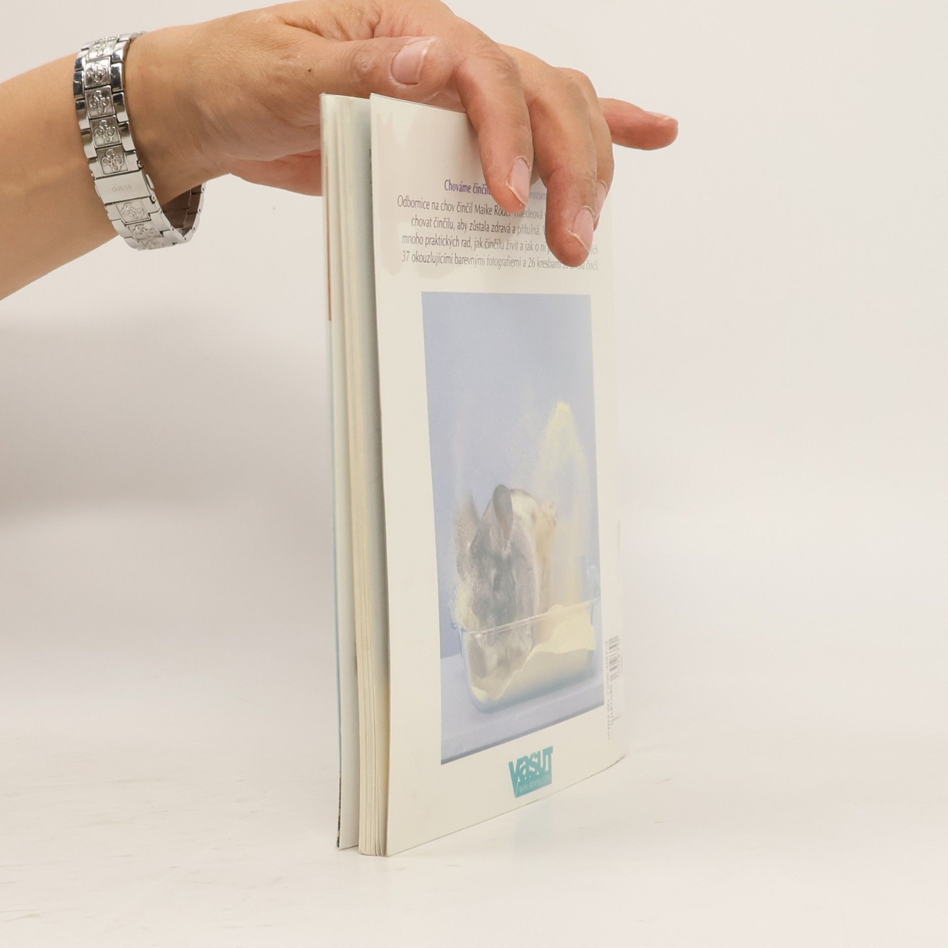 Various authors Činčila jako domácí zvíře