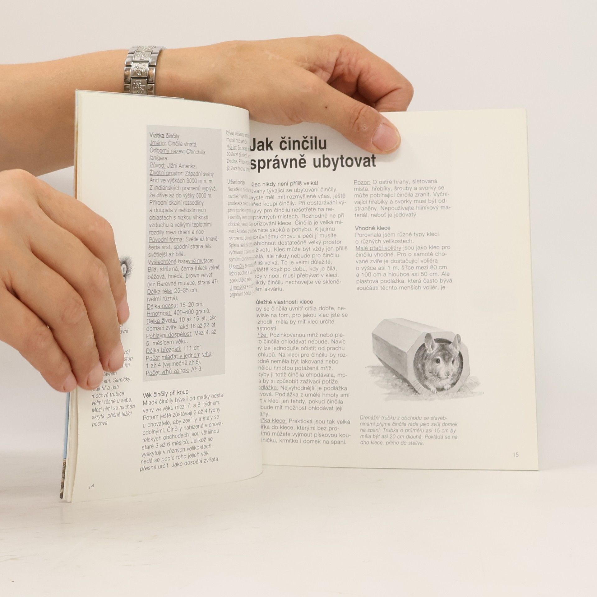 Various authors Činčila jako domácí zvíře
