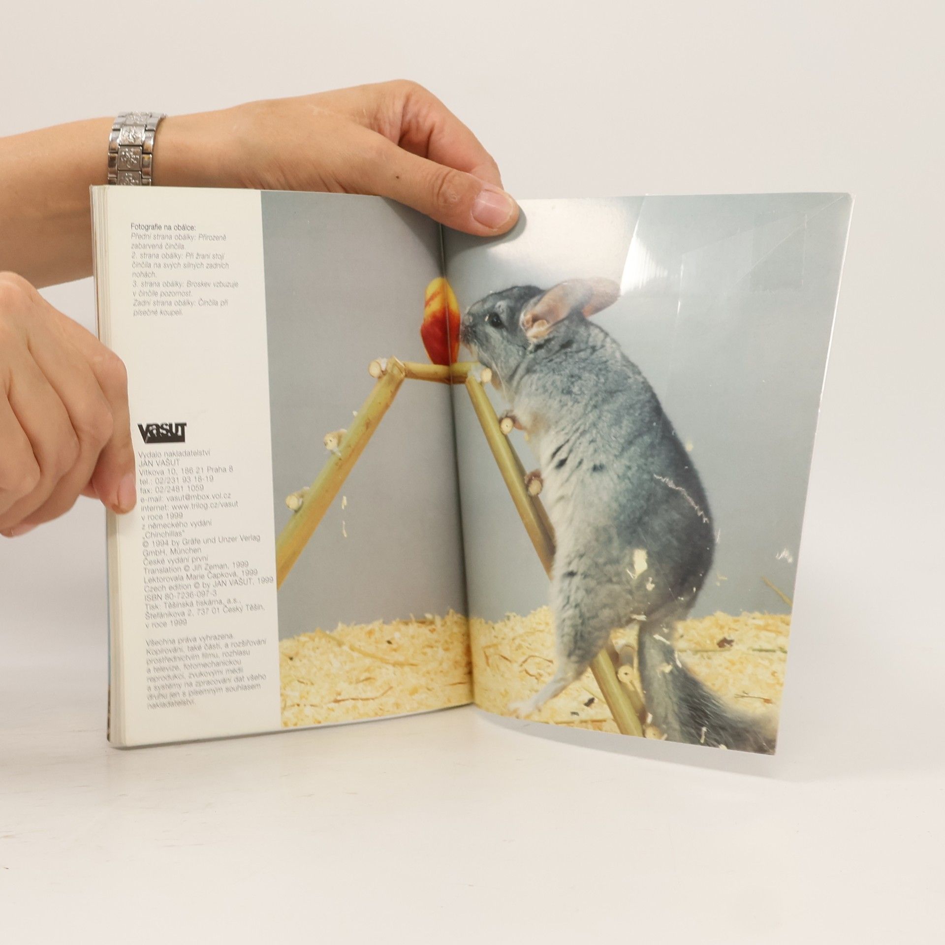 Various authors Činčila jako domácí zvíře