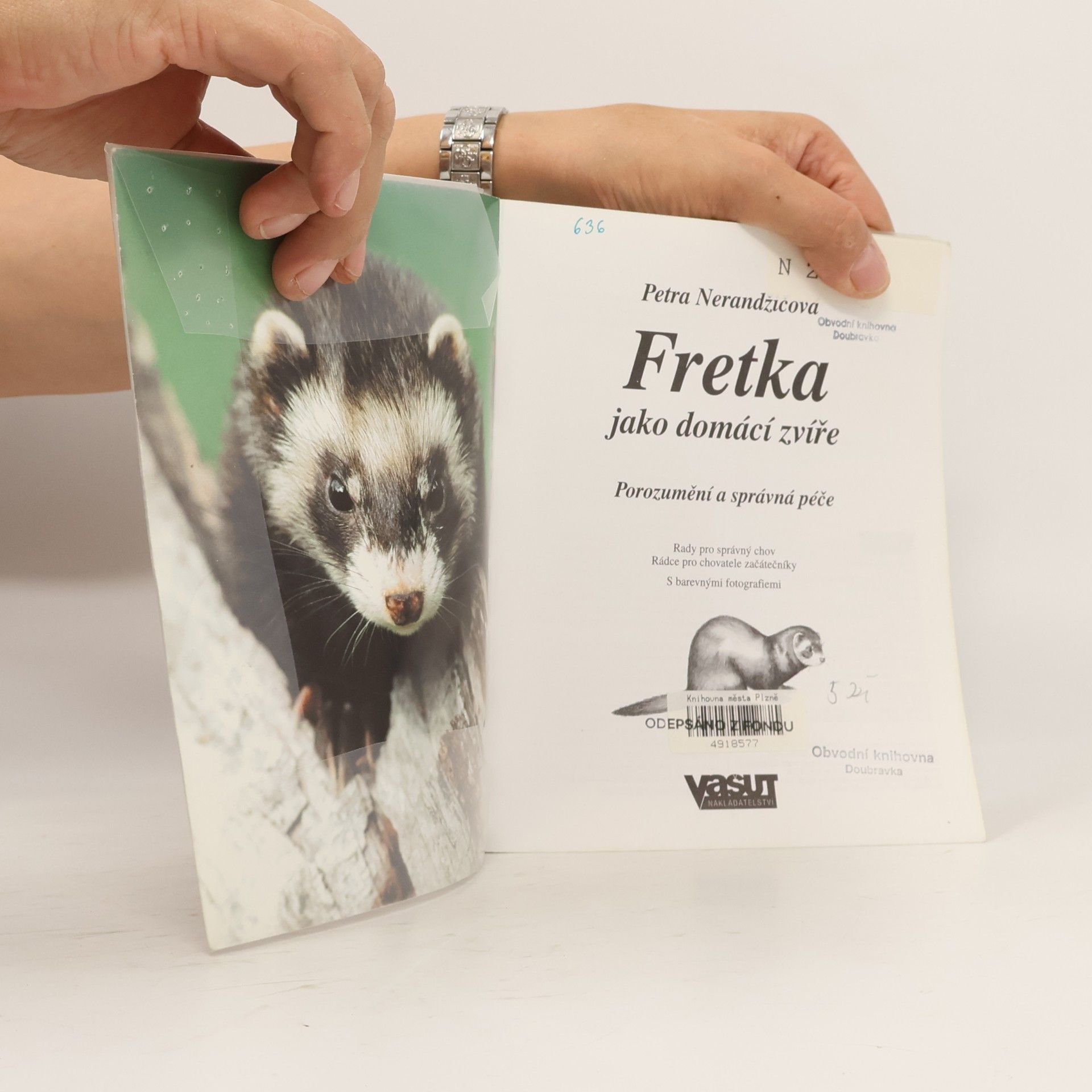 Petra Nerandžičová Fretka jako domácí zvíře