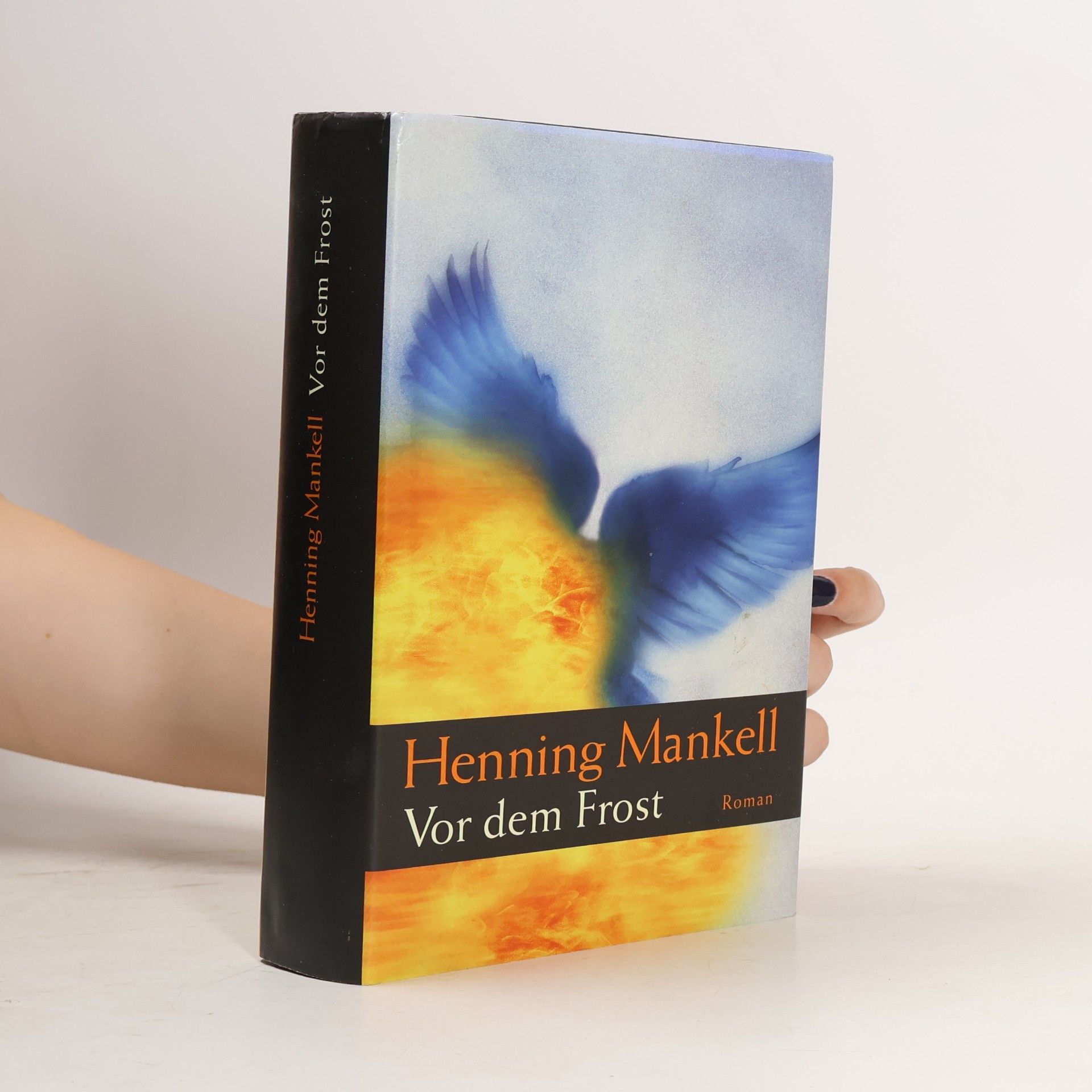 Henning Mankell Vor dem Frost