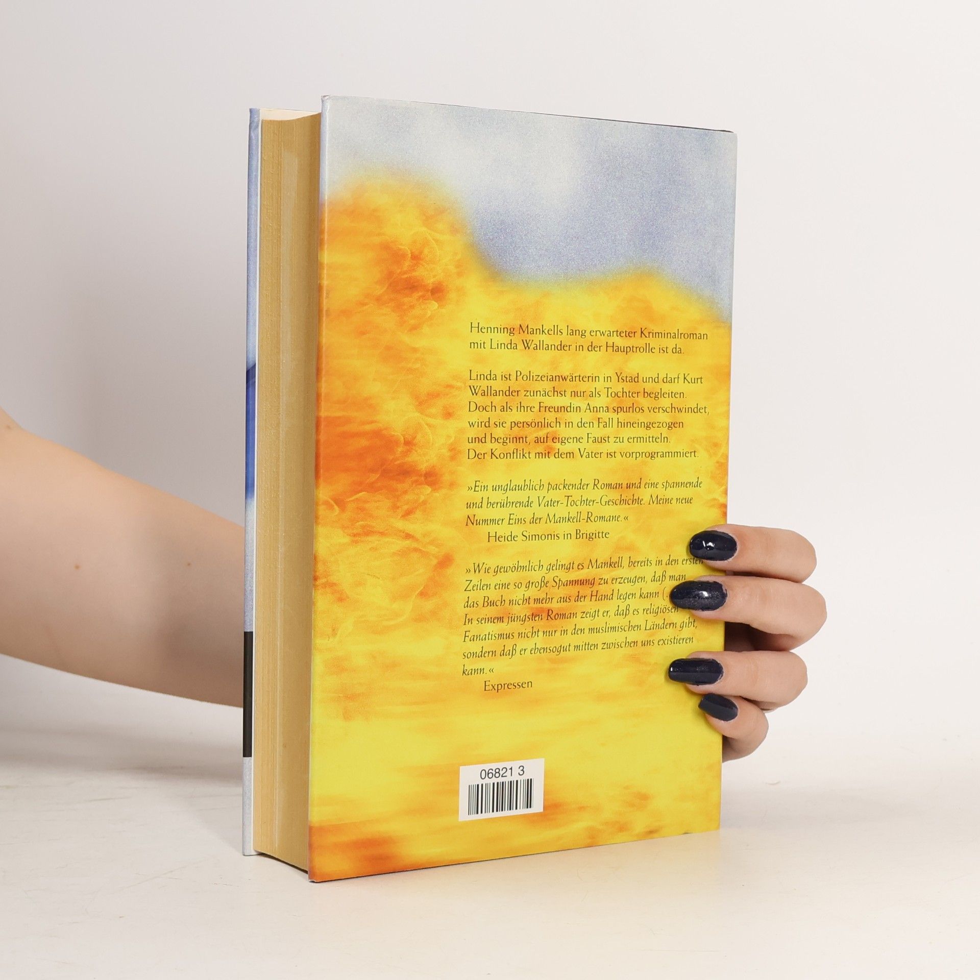 Henning Mankell Vor dem Frost