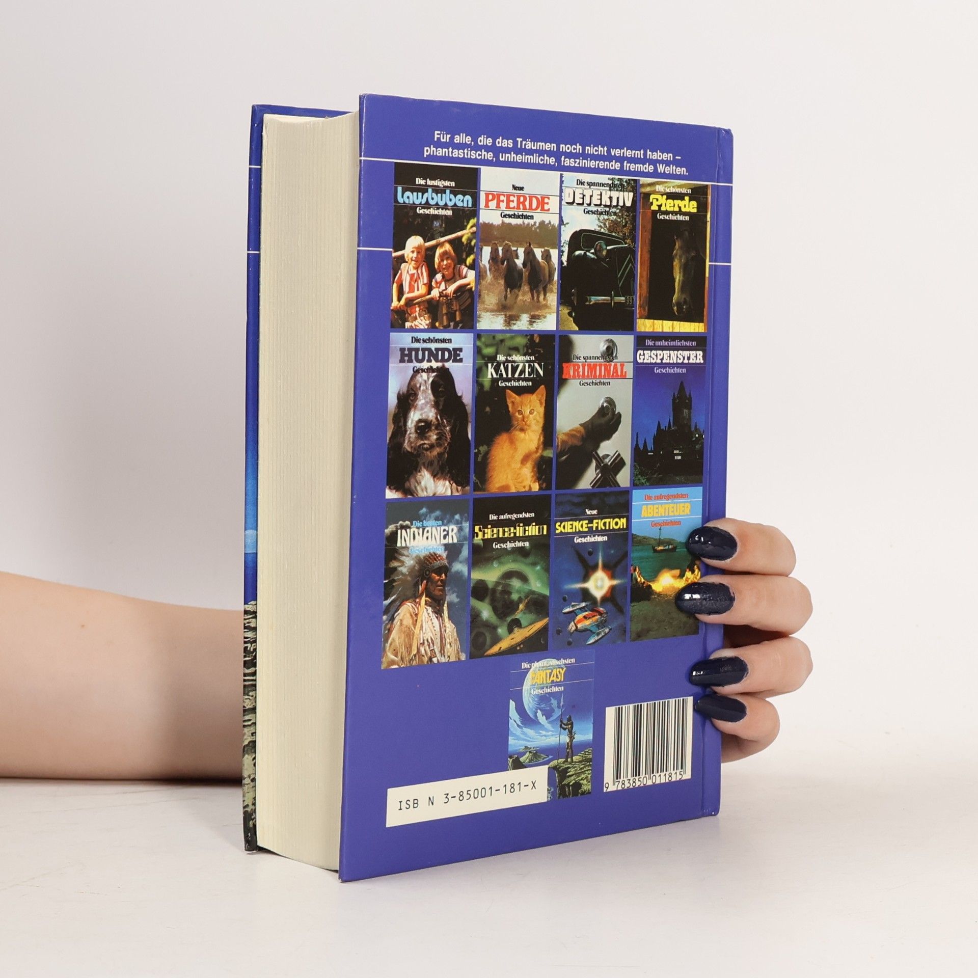 Autorenkollektiv Die phantastischsten Fantasy Geschichten