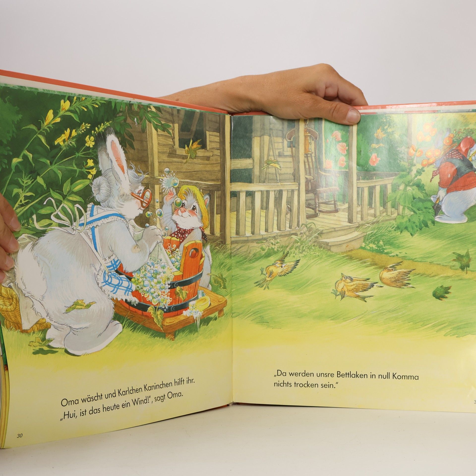 Lucy Kincaid Die Abenteuer des kleinen Schlingels