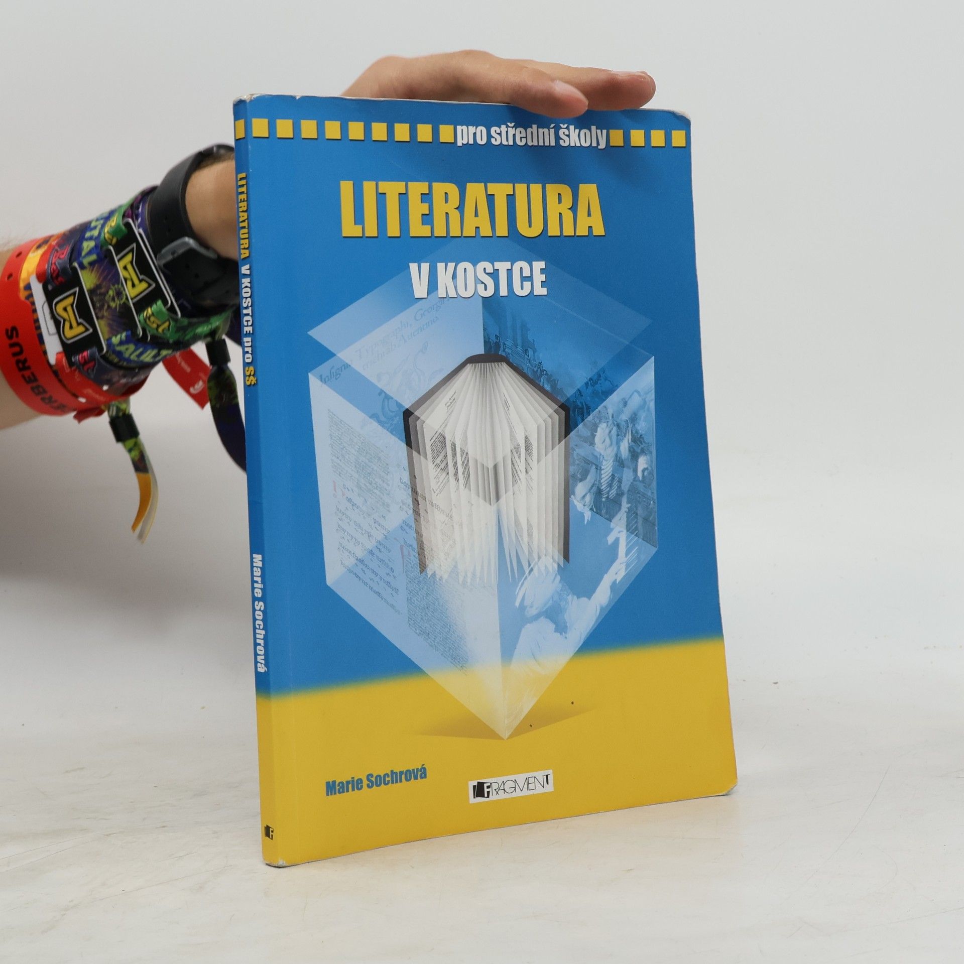 Marie Sochrová Literatura v kostce : pro střední školy