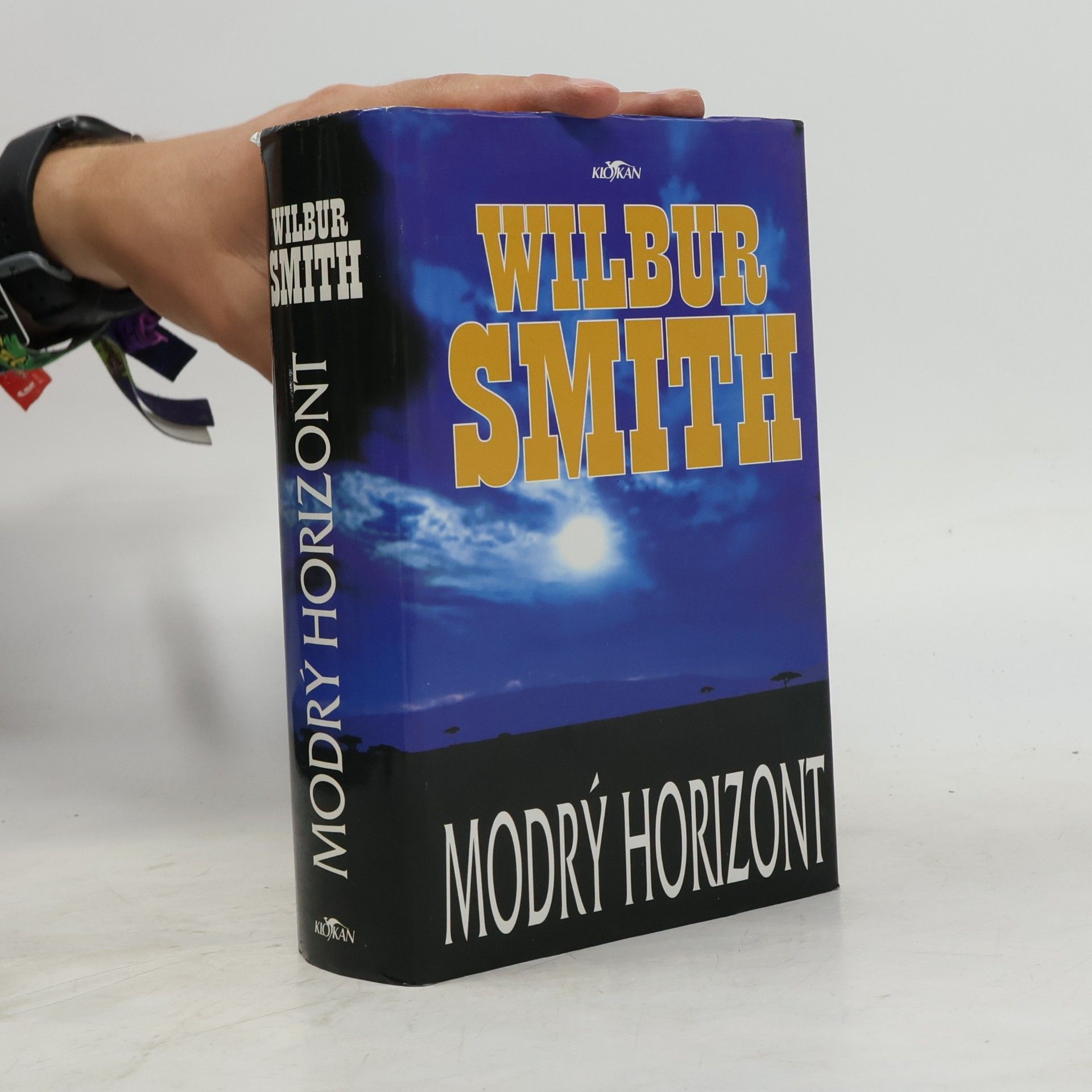 Wilbur Smith Modrý horizont