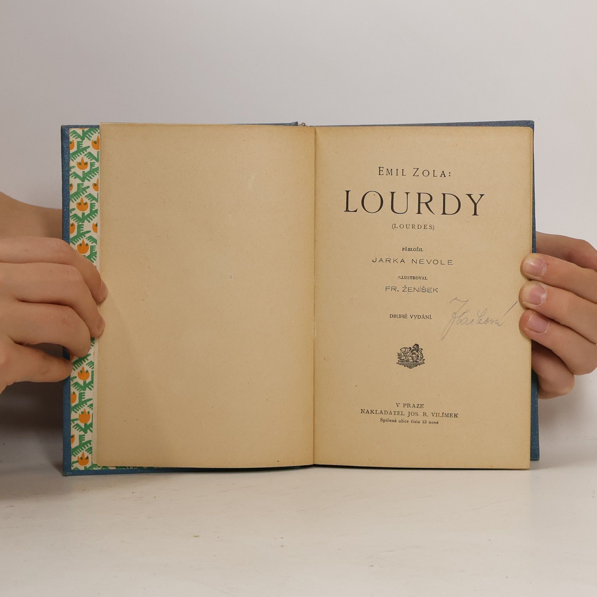 Émile Zola Lourdy