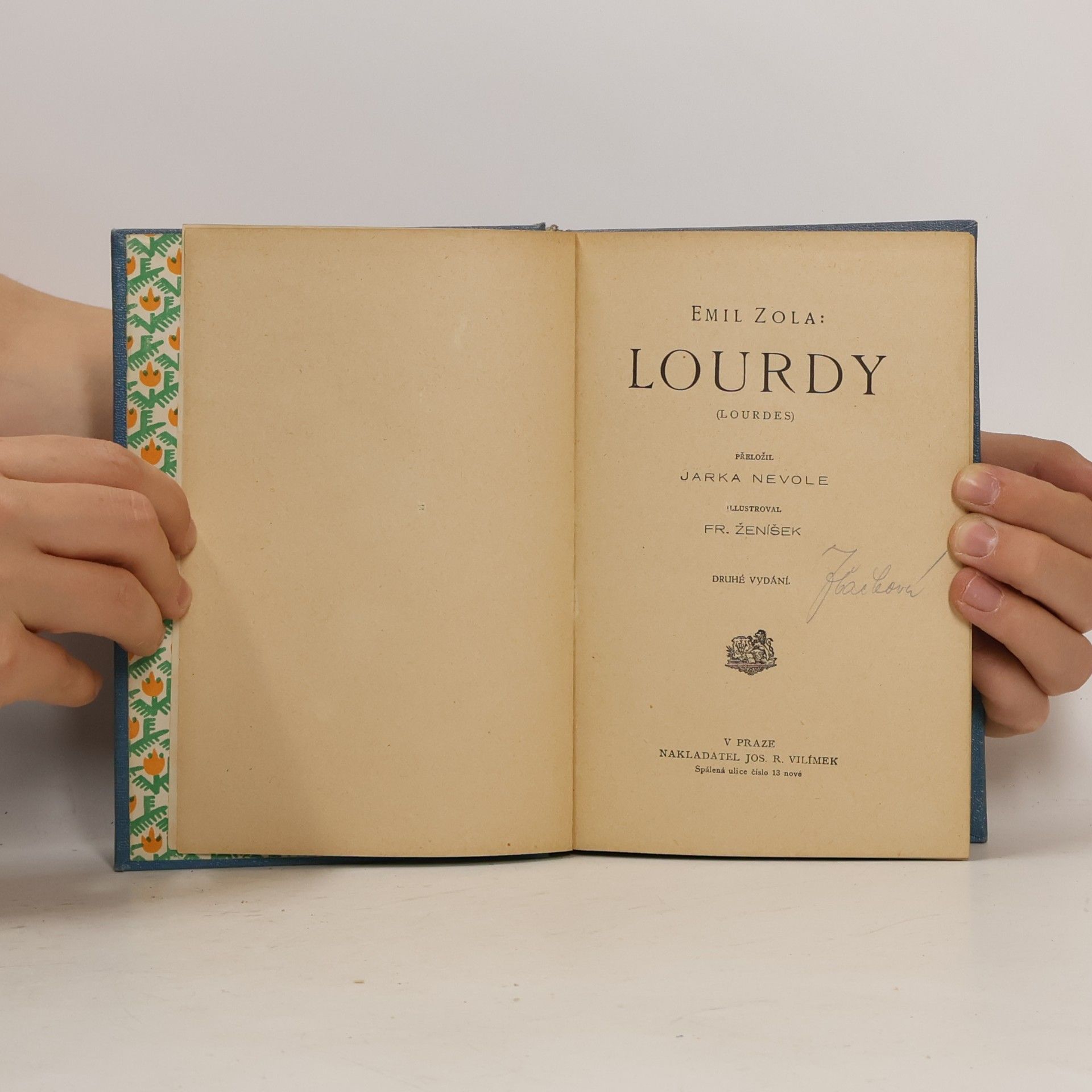 Émile Zola Lourdy