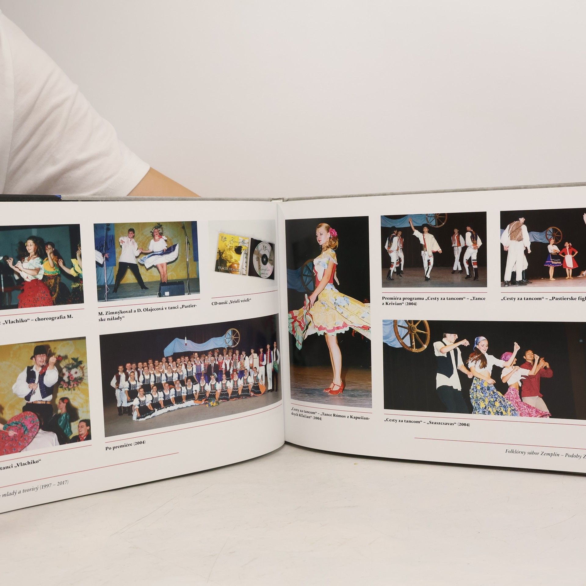 Various authors Folklórný súbor Zemplín. Podoby Zemplína