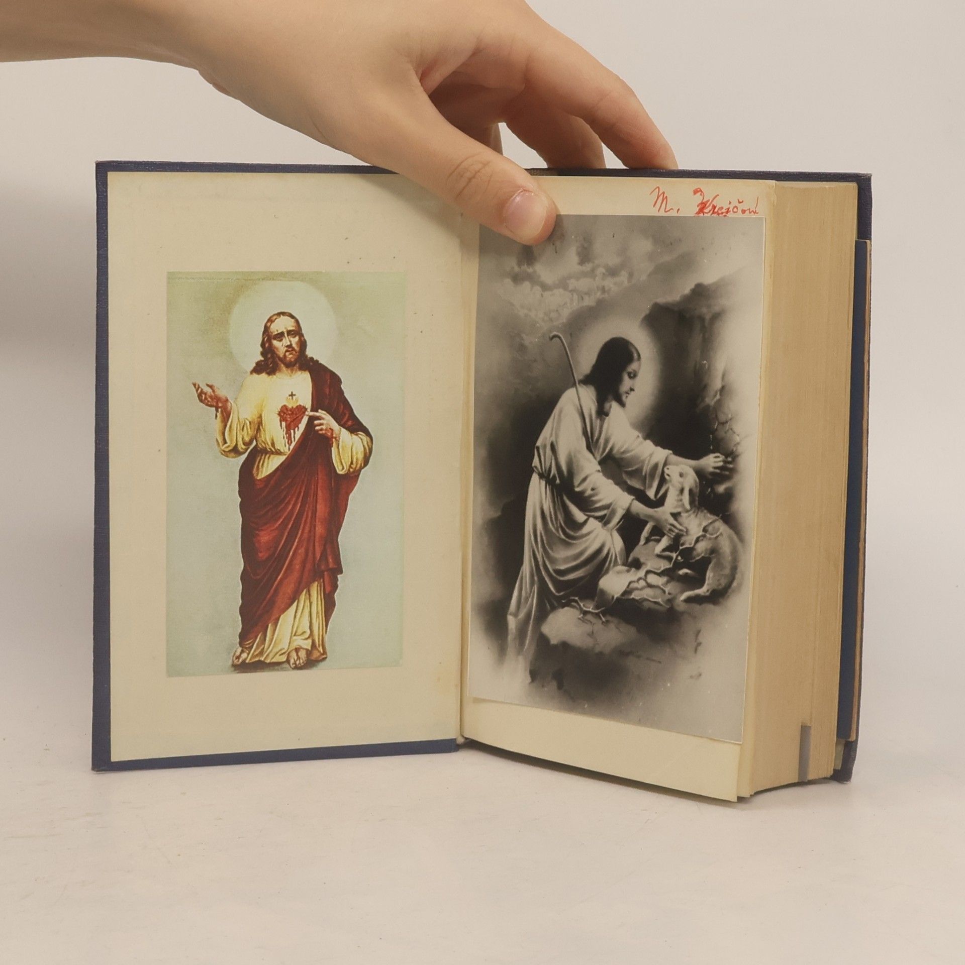Kolektív autorov Biblí svatá aneb Všecka svatá písma Starého i Nového zákona