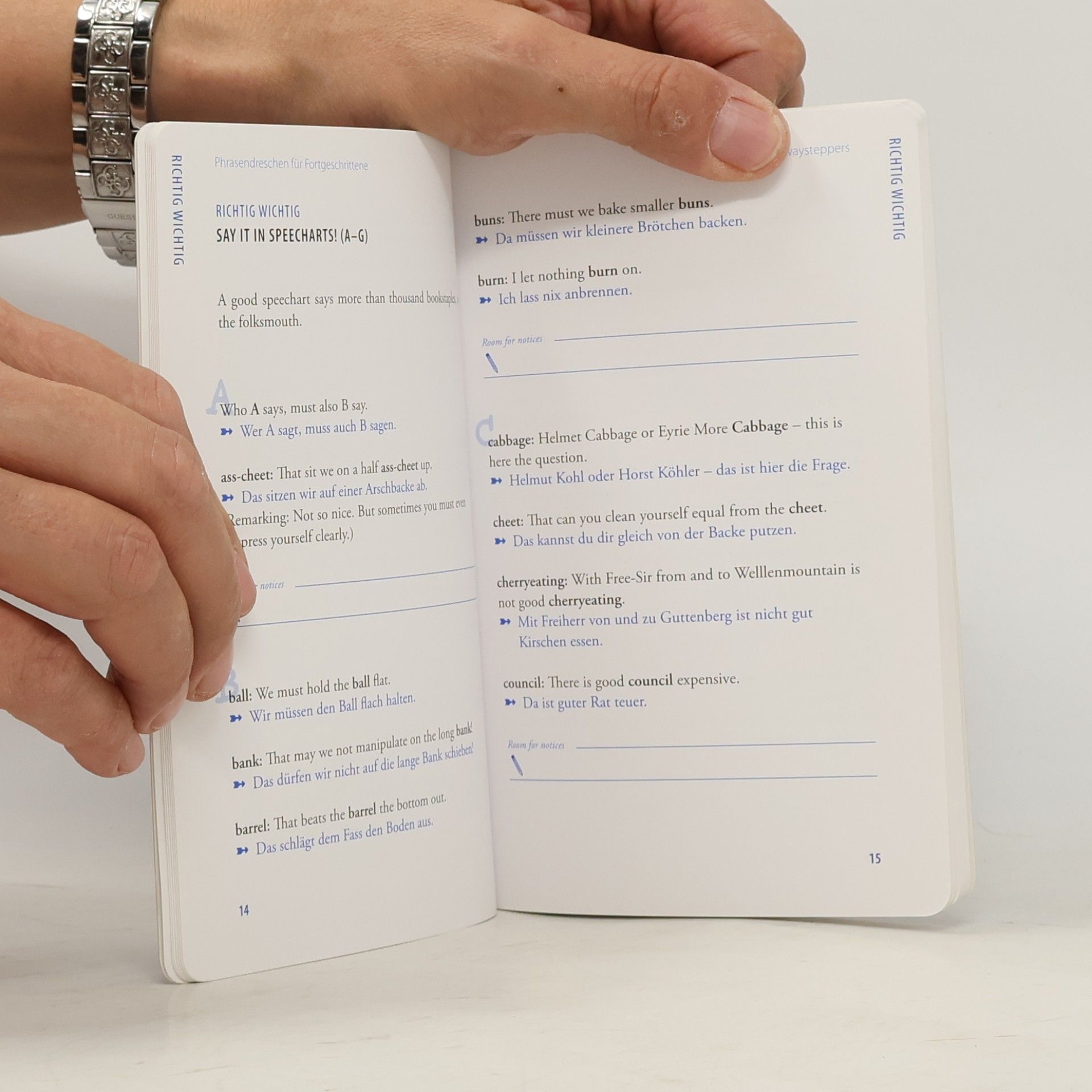 Steffen Haubner Guido's Guide