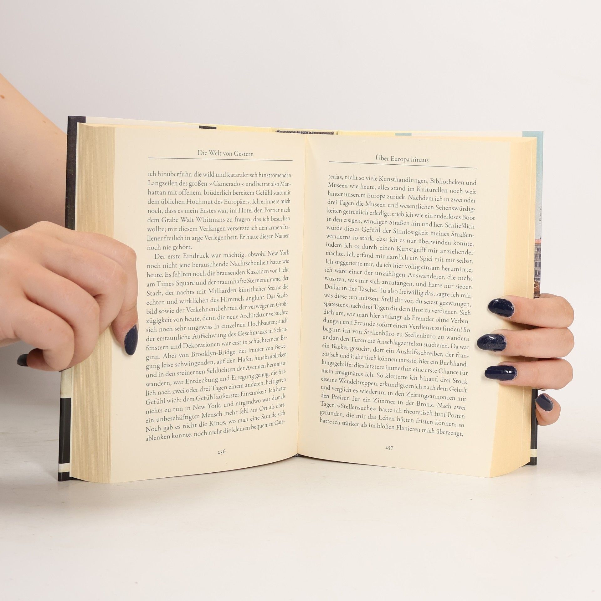 Stefan Zweig Die Welt von Gestern
