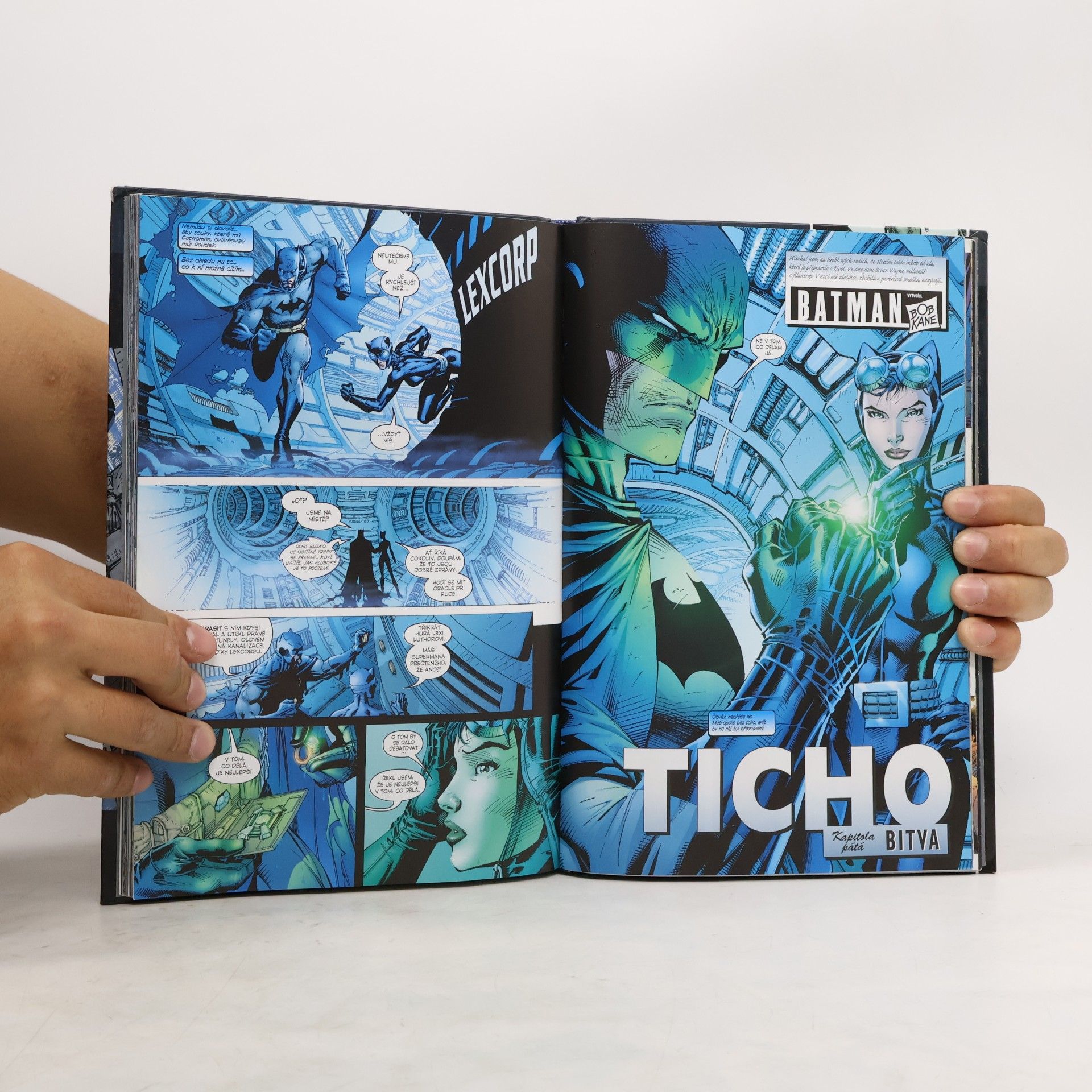 Jeph Loeb Batman: Ticho - Kniha první