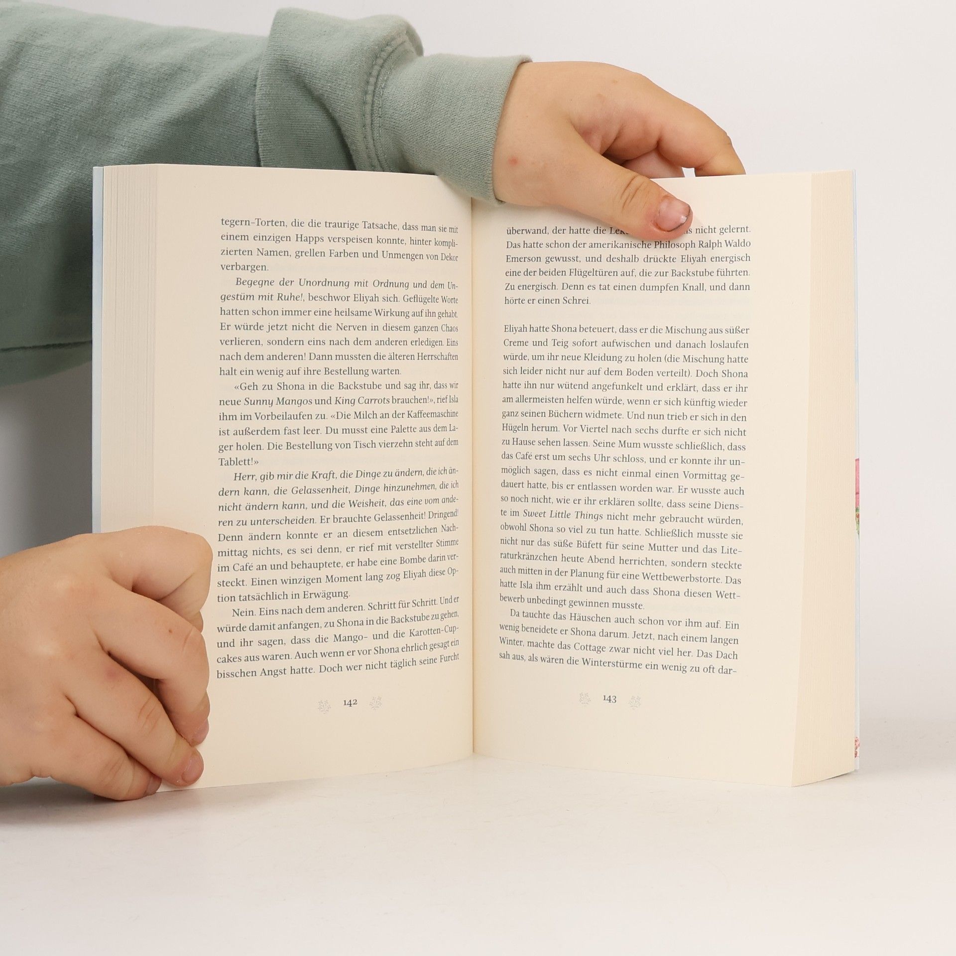 Katharina Herzog Das kleine Bücherdorf - Frühlingsfunkeln