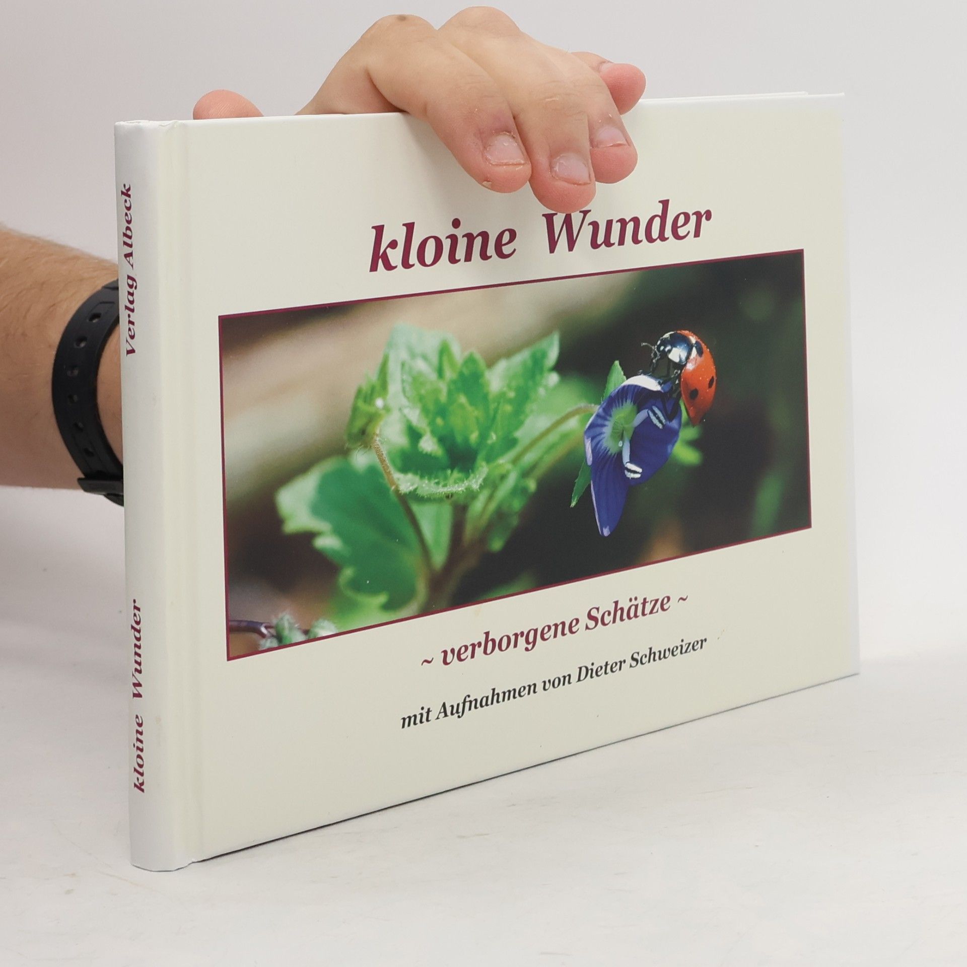 Wilfried Albeck Kloine Wunder