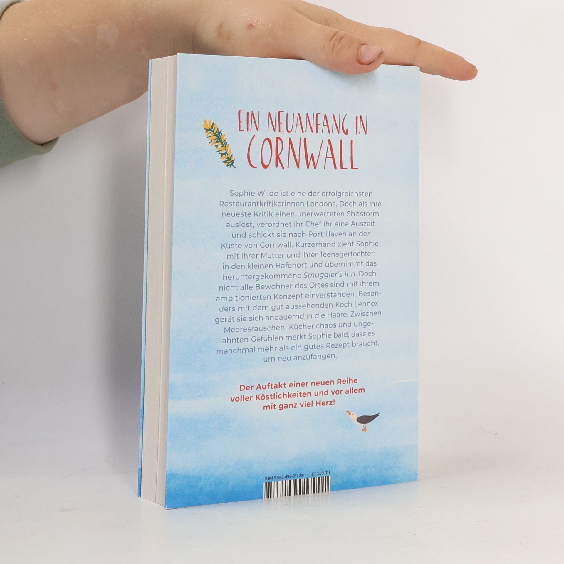 Katharina Herzog A Taste of Cornwall: Eine Prise Liebe