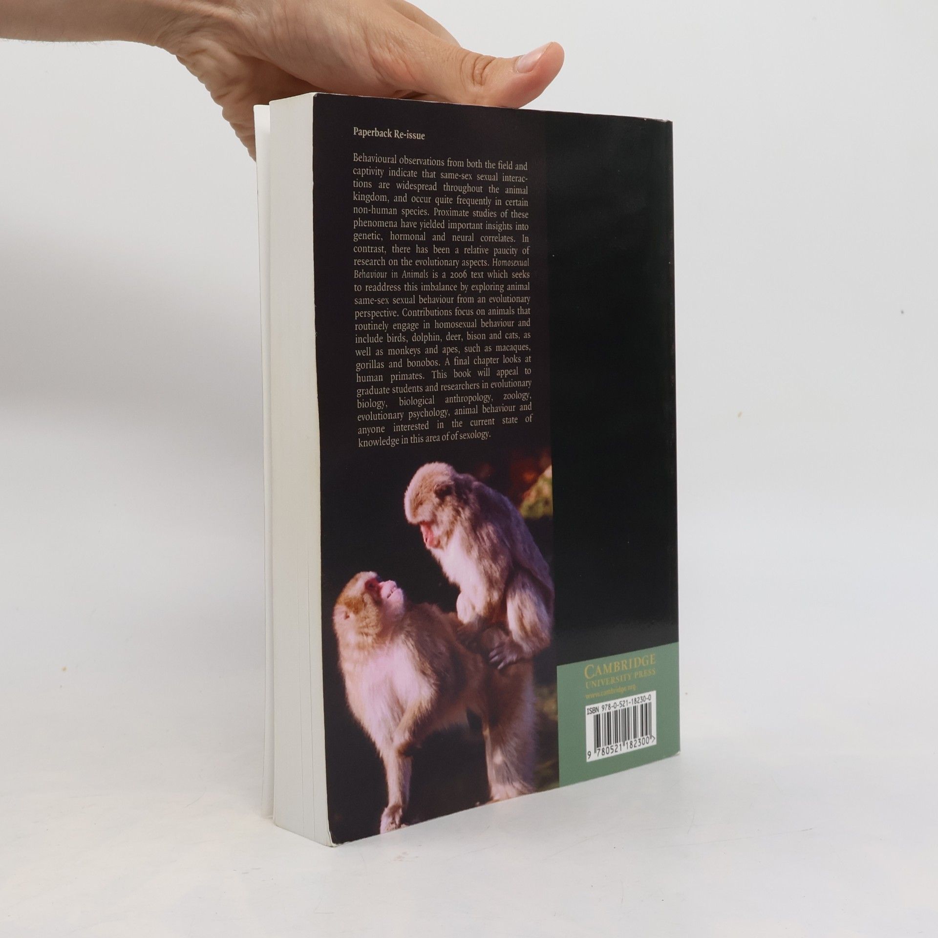Volker Sommer Homosexual Behaviour in Animals
