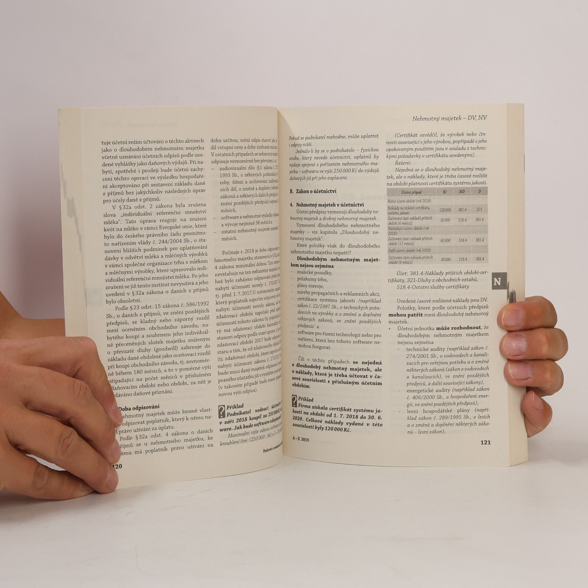 Kolektiv autorů Daňové a nedaňové výdaje od A do Z v roce 2008
