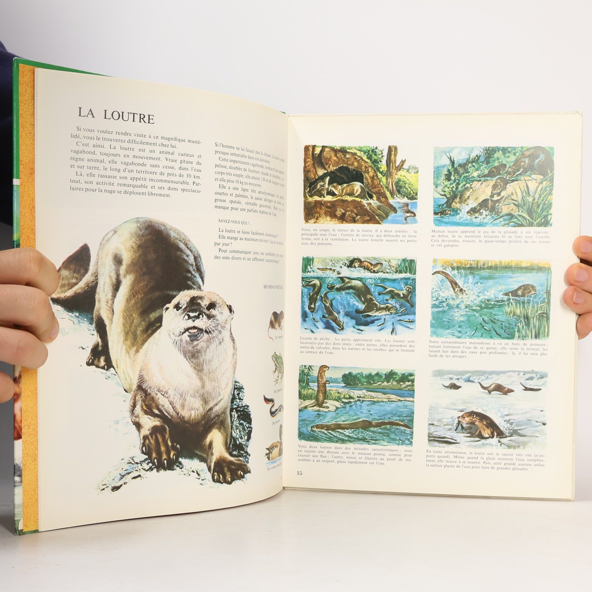 Rinaldo D. D'Ami Les animaux des fleuves et des étangs