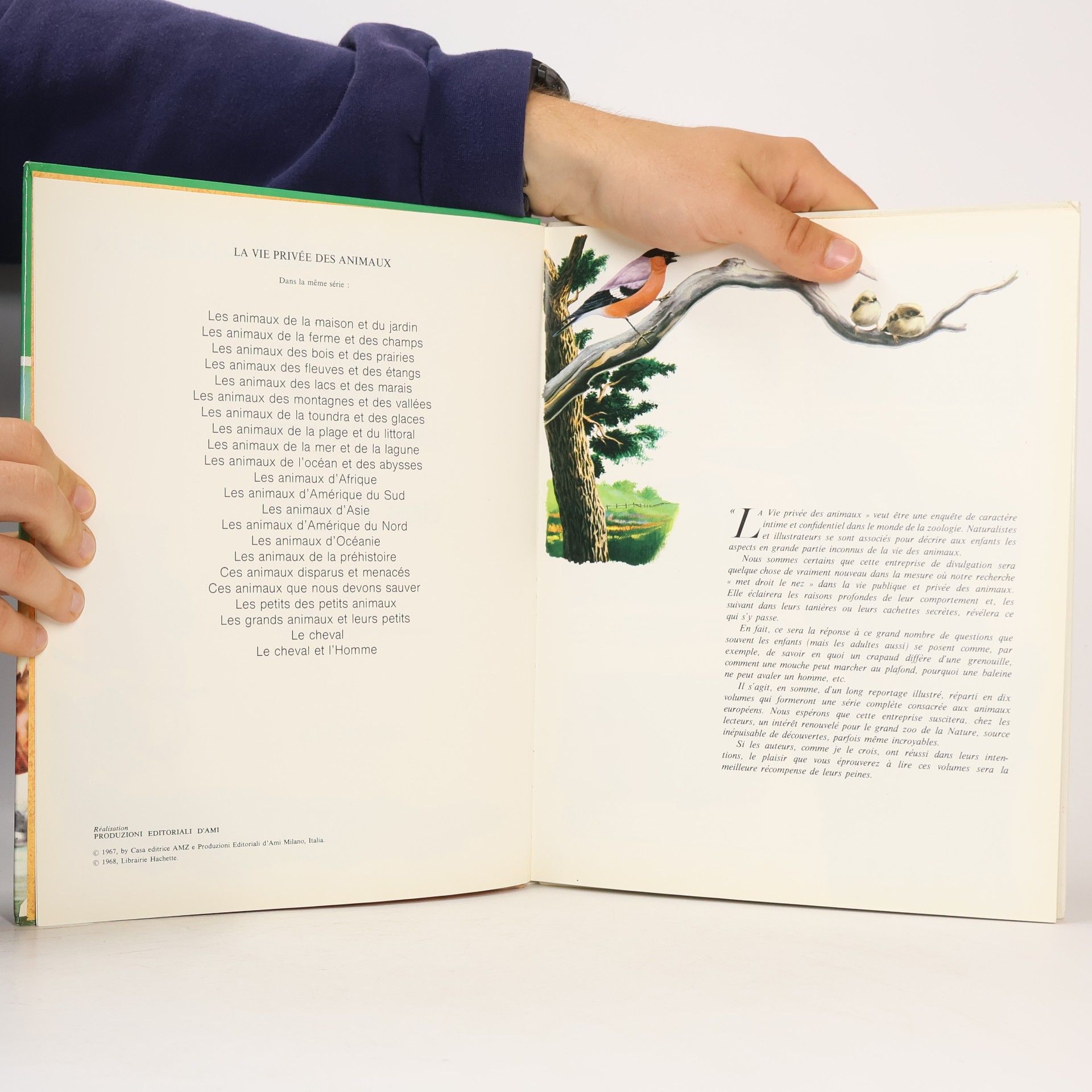 Rinaldo D. D'Ami Les animaux des fleuves et des étangs