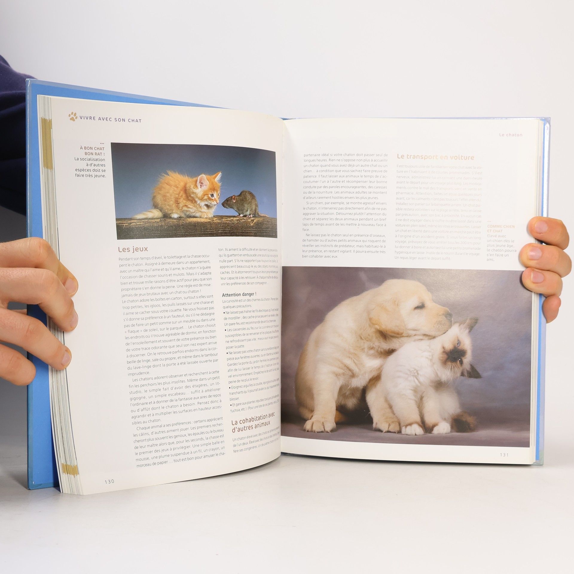 Pierre Rousselet Blanc Larousse du chat et du chaton