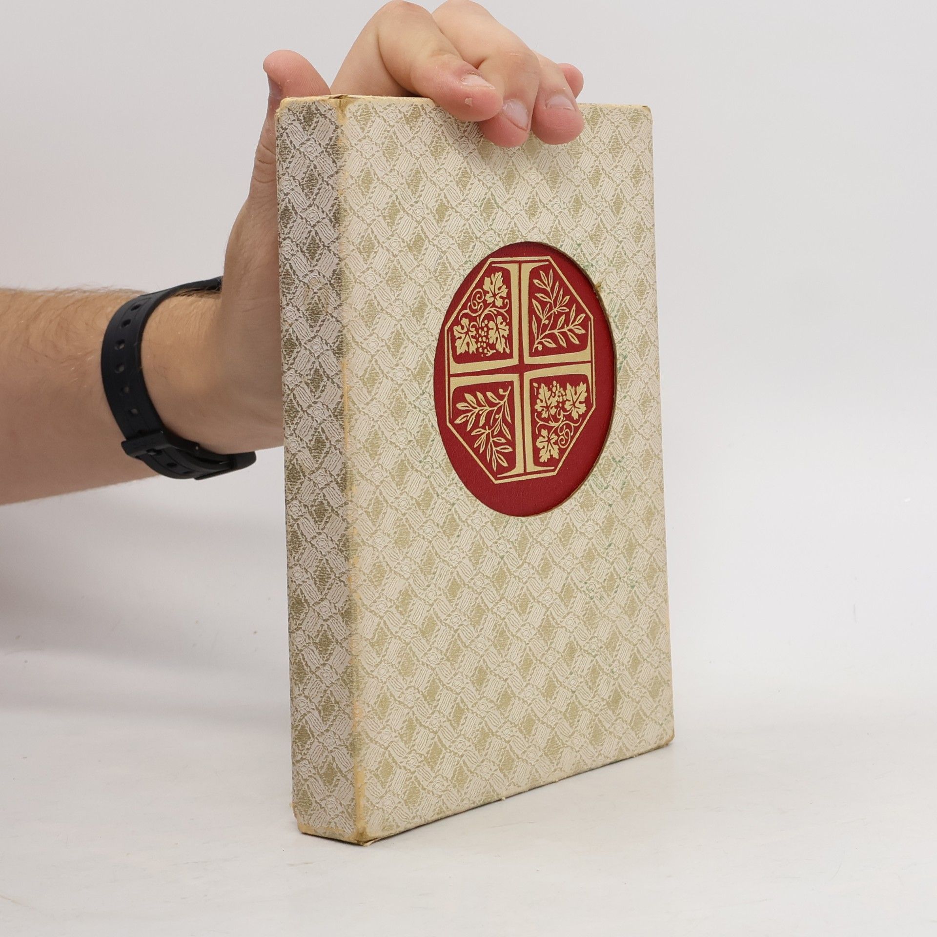 Kolektiv autorů The new English Bible. New Testament