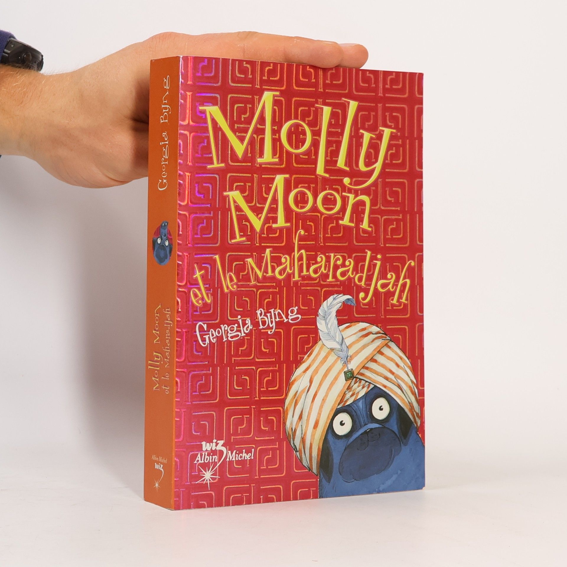 Hélène Collon Molly Moon et le Maharadja