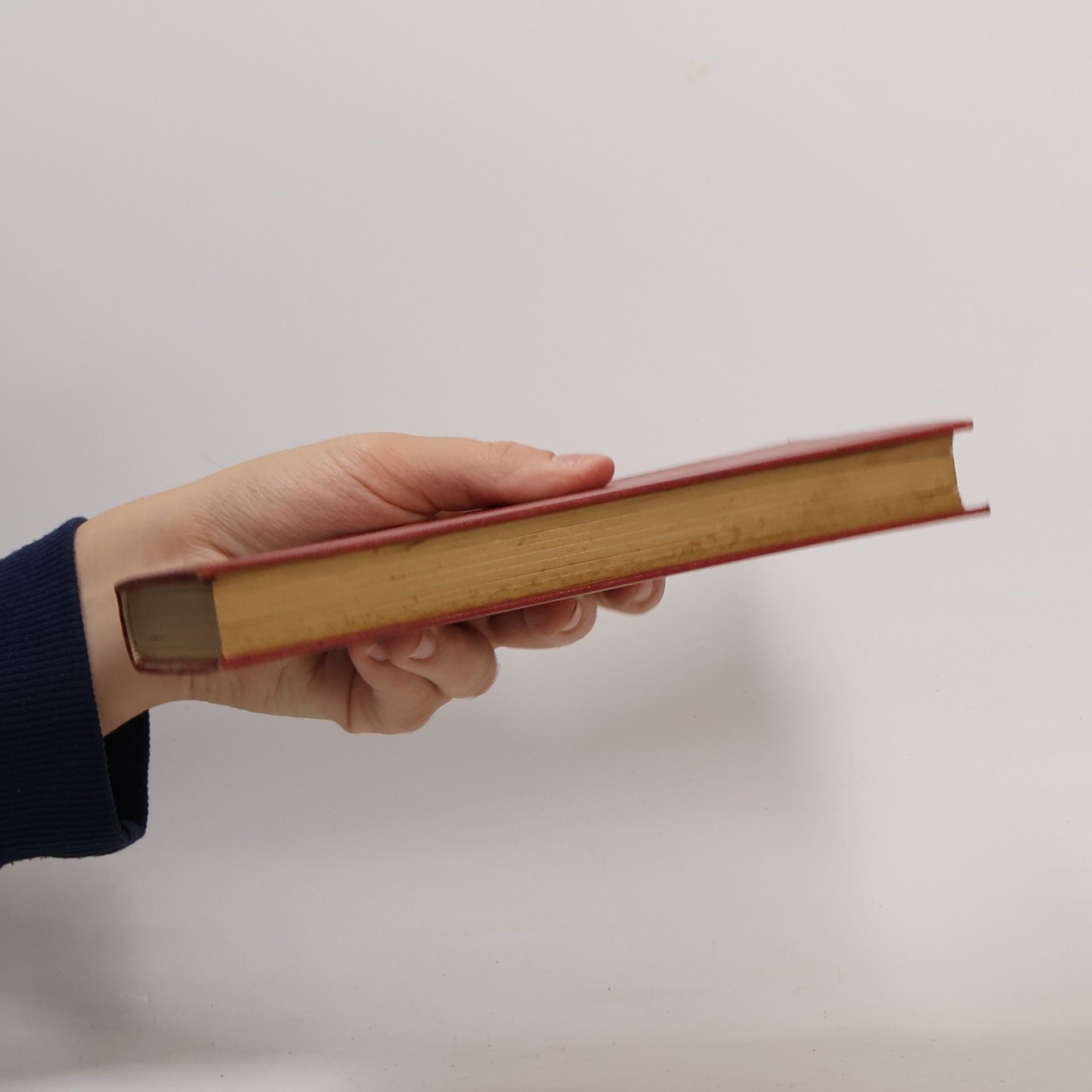 František Palacký Dějiny národu českého v Čechách a v Moravě VIII.