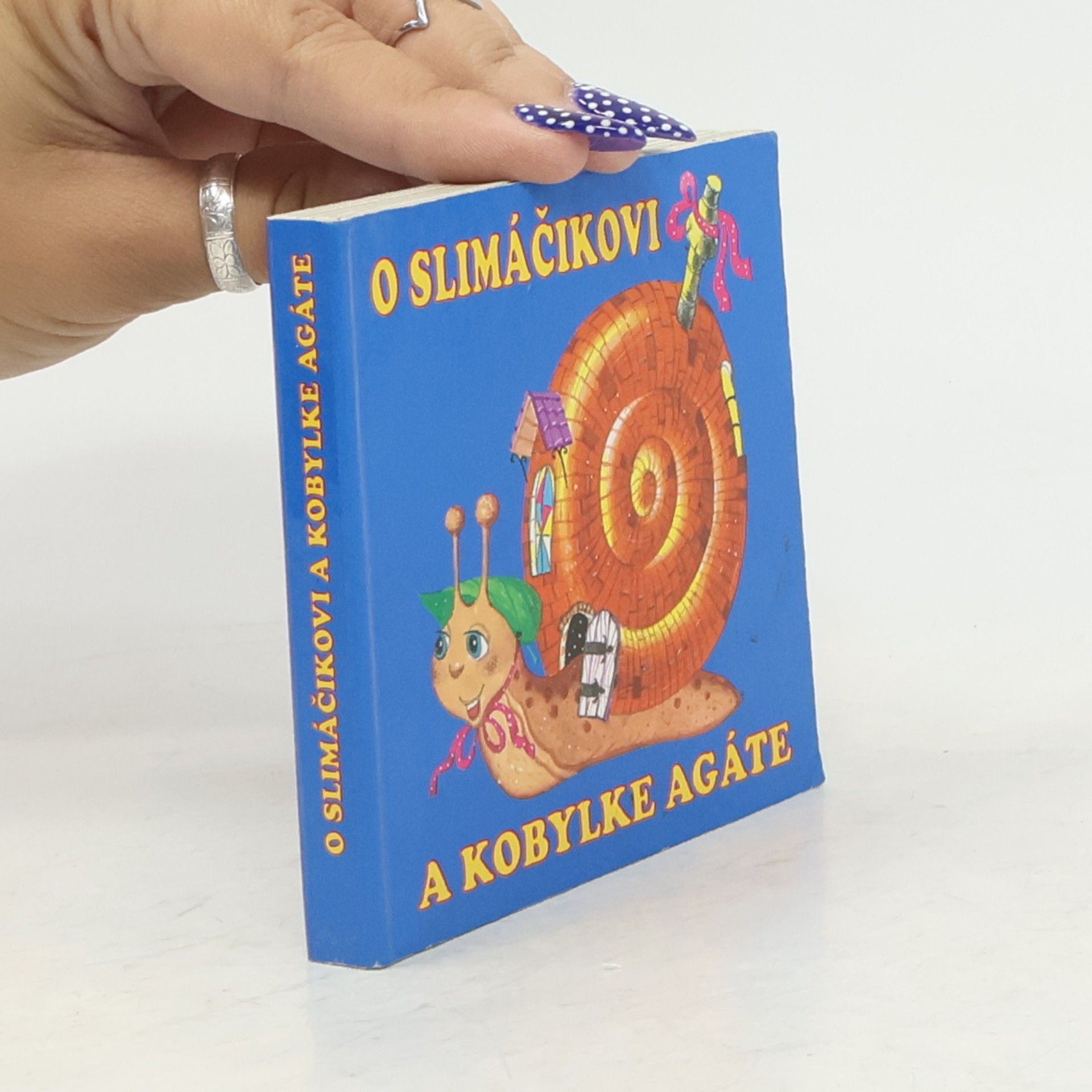 Autorenkollektiv O slimáčikovi a kobylke Agáte