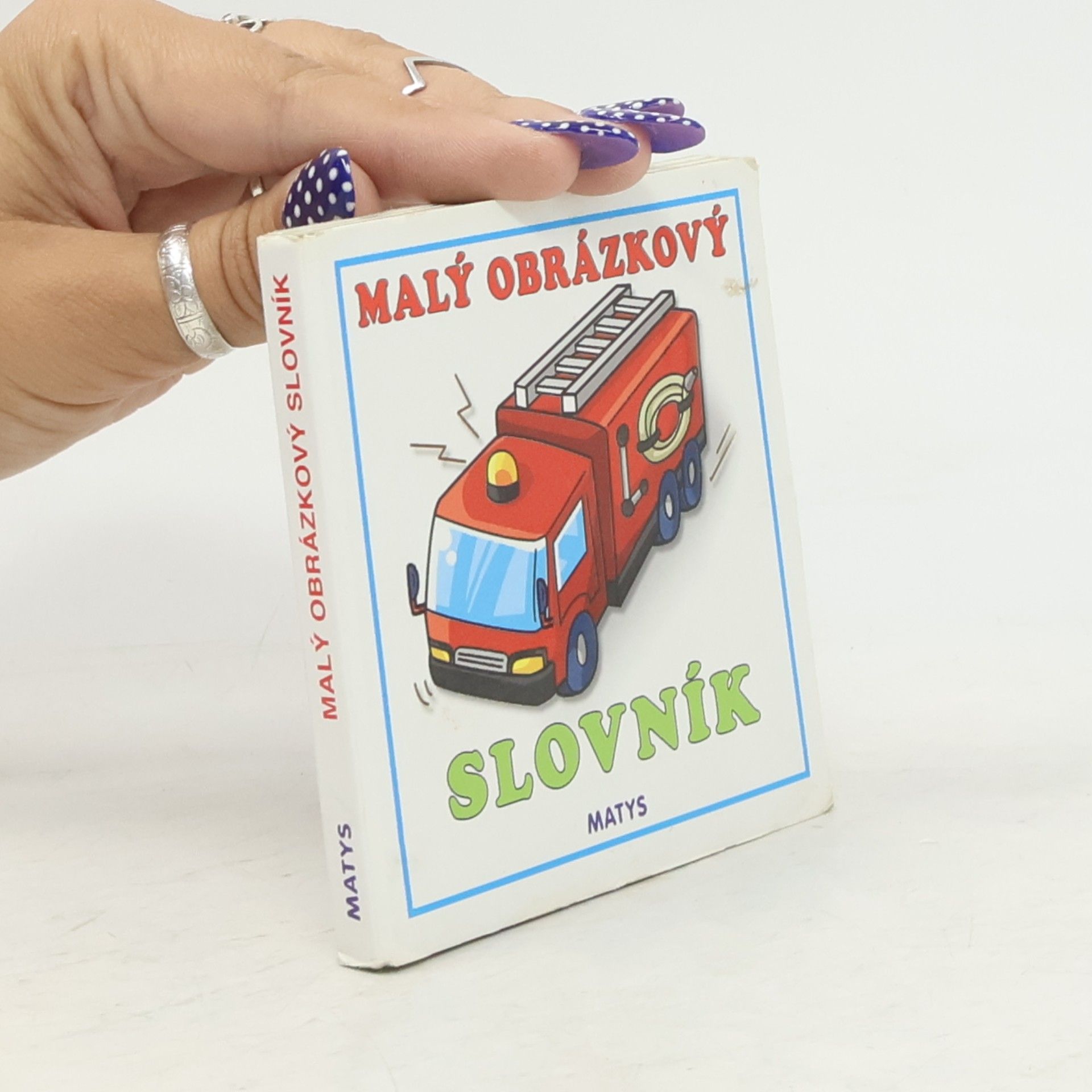 Kolektiv autorů Malý obrázkový slovník