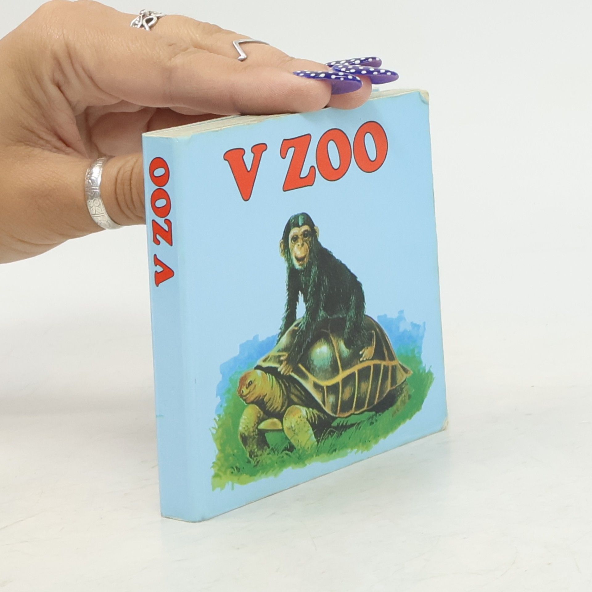 V Zoo