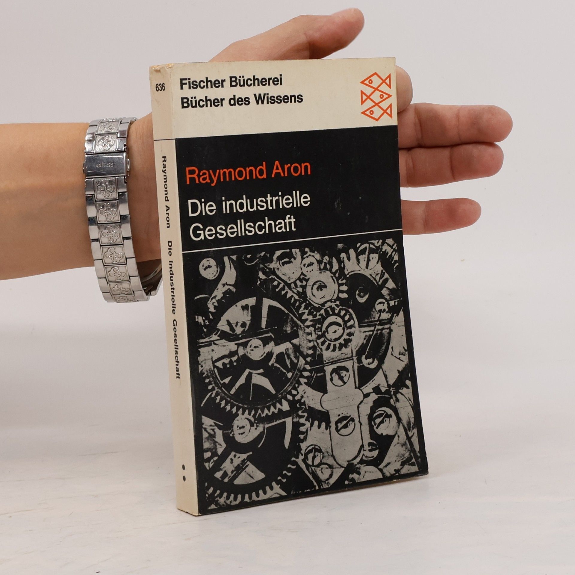 Raymond Aron Die industrielle Gesellschaft