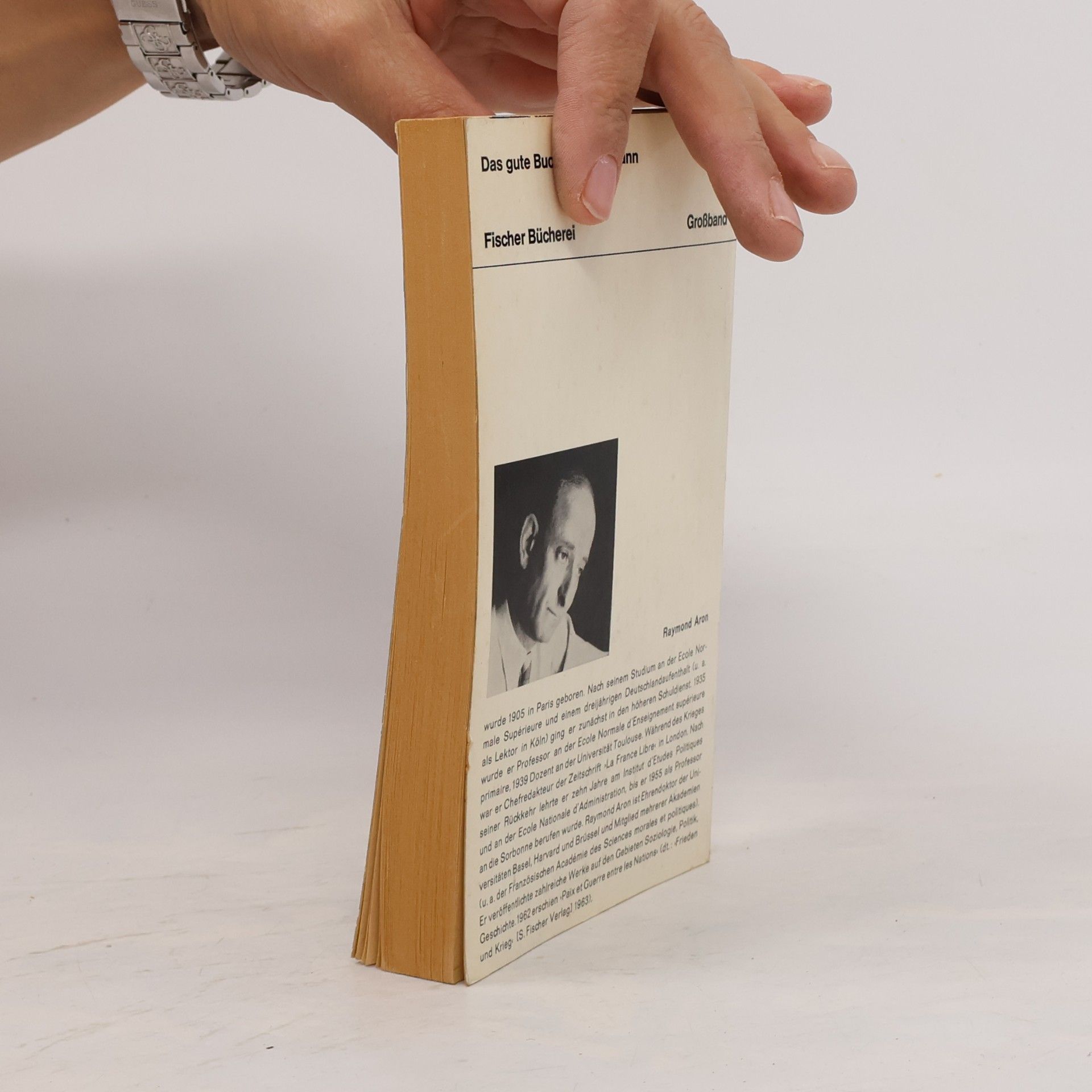 Raymond Aron Die industrielle Gesellschaft