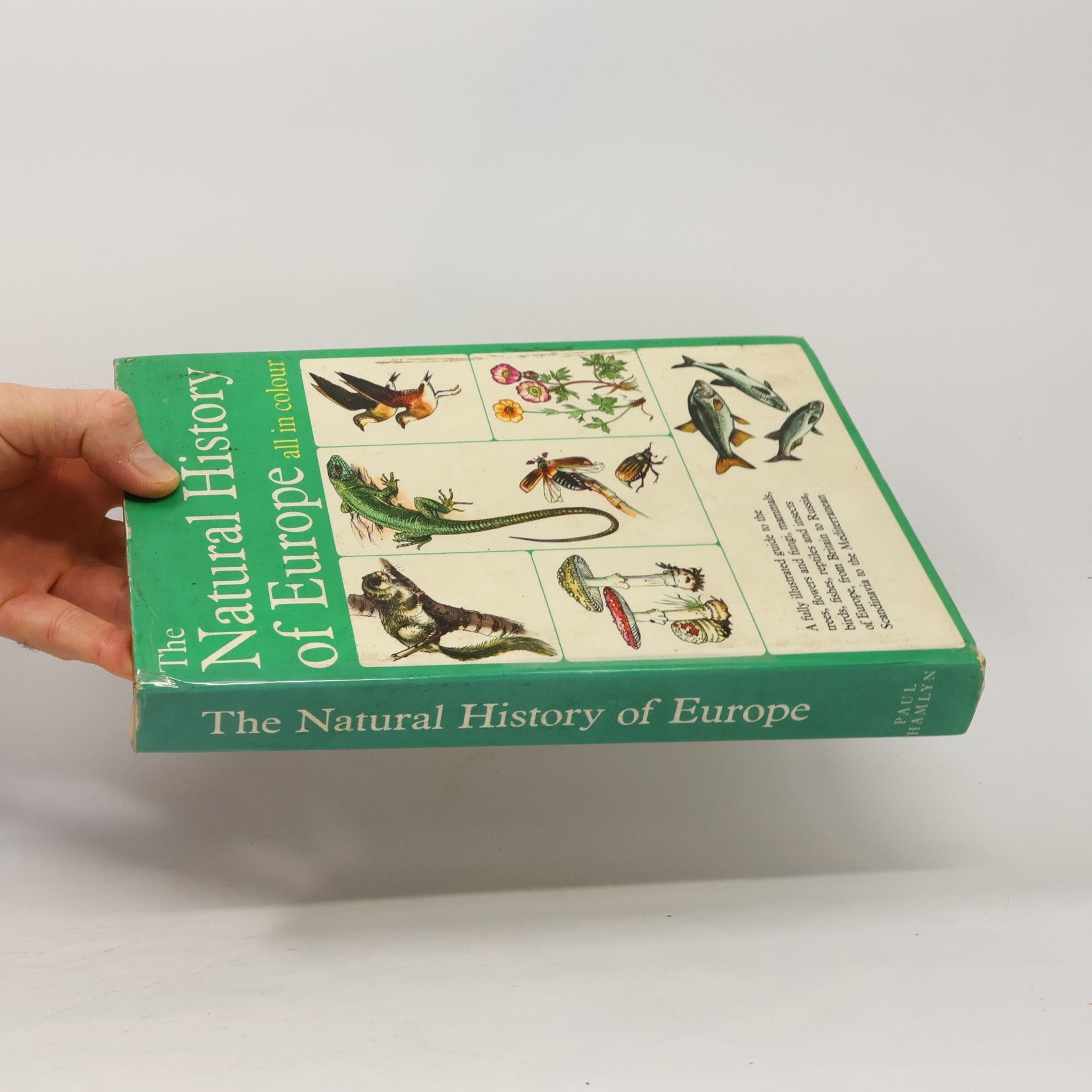 Kolektiv autorů The Natural History of Europe