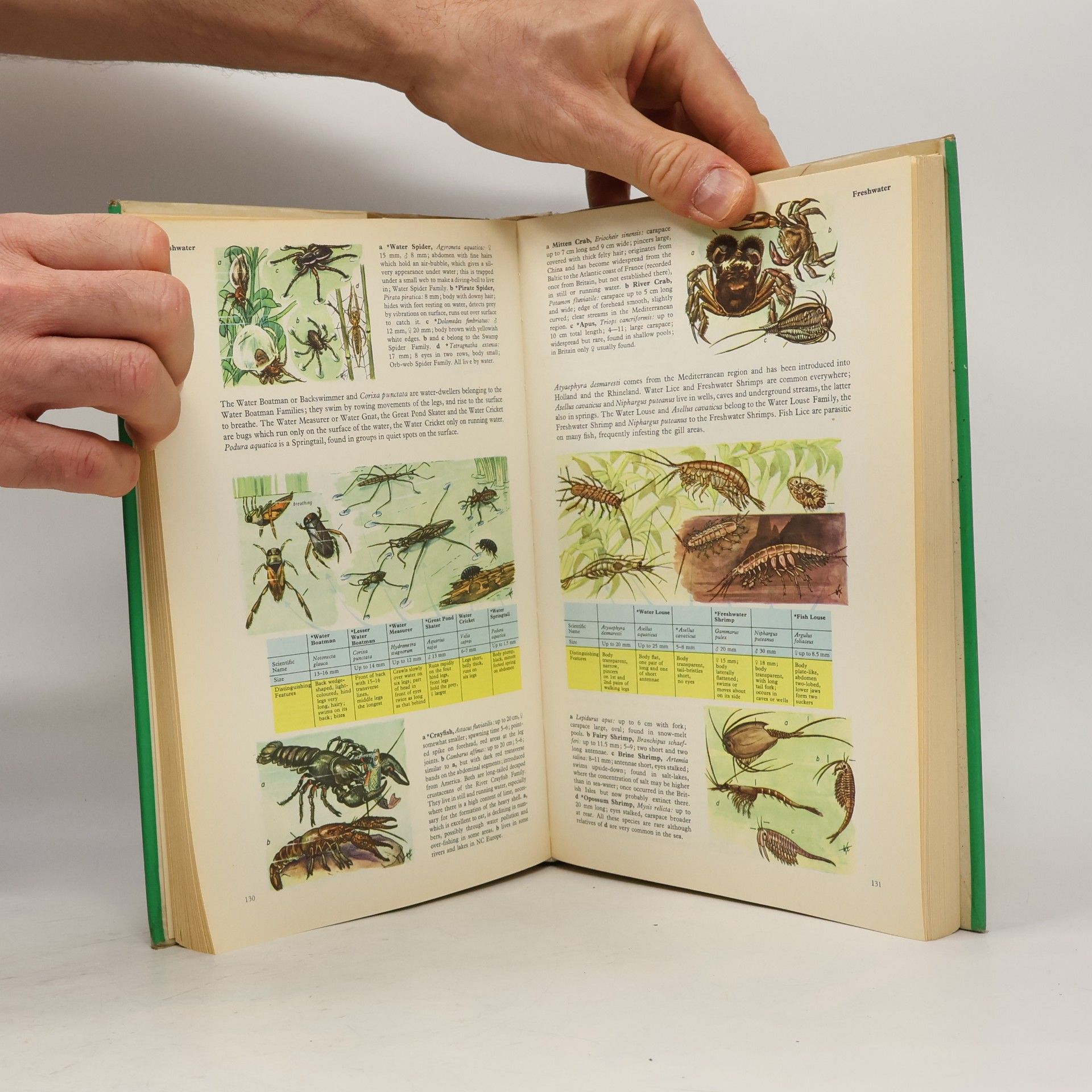 Kolektiv autorů The Natural History of Europe