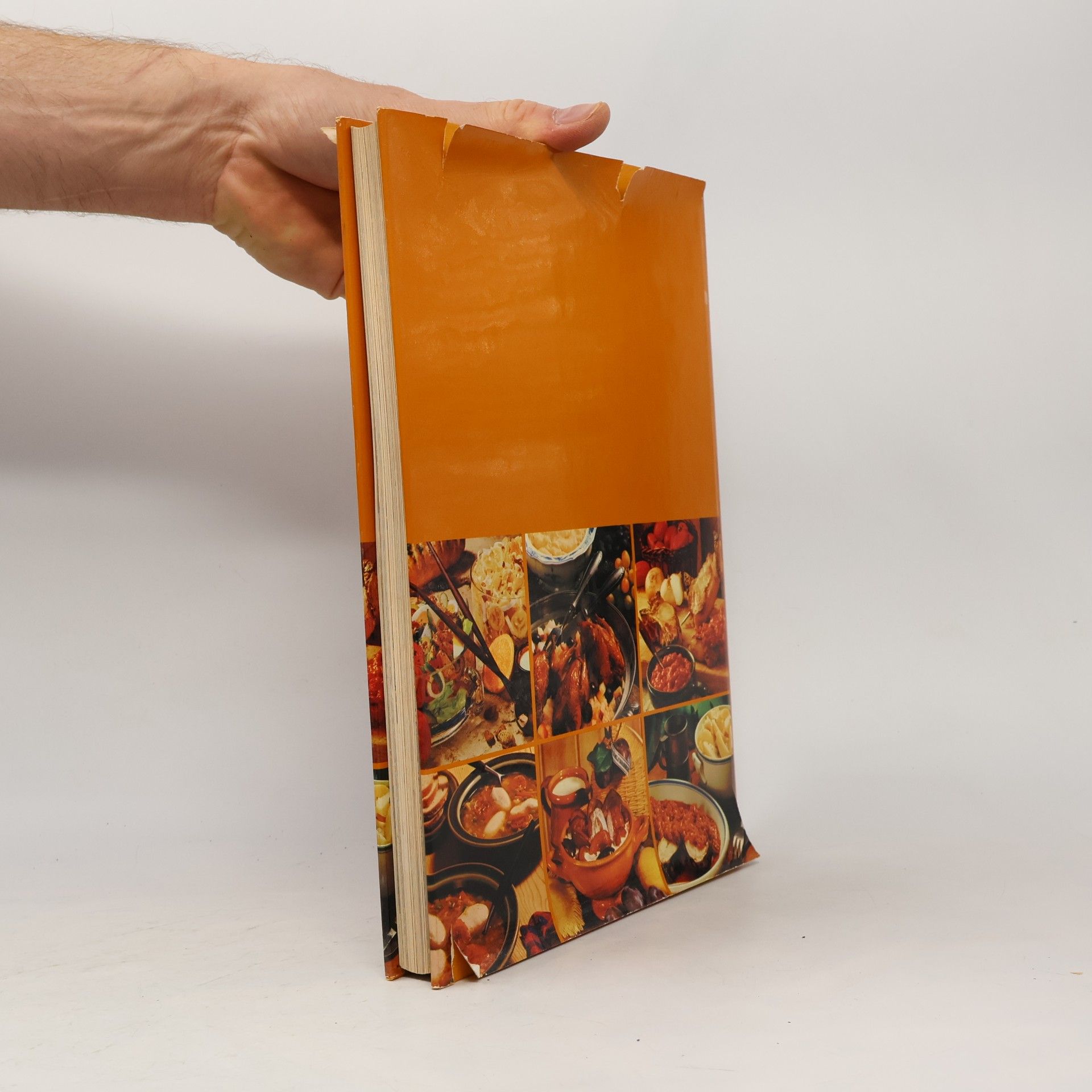 Collectif d'auteurs Internationale Spezialitäten - Kochbuch für Feinschmecker