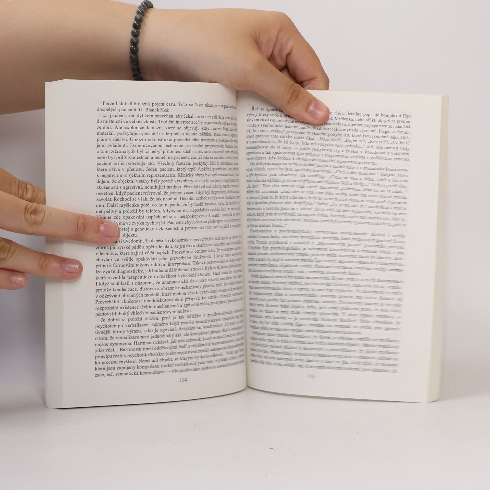 R. Blanck Ego-psychologie: Teorie a praxe