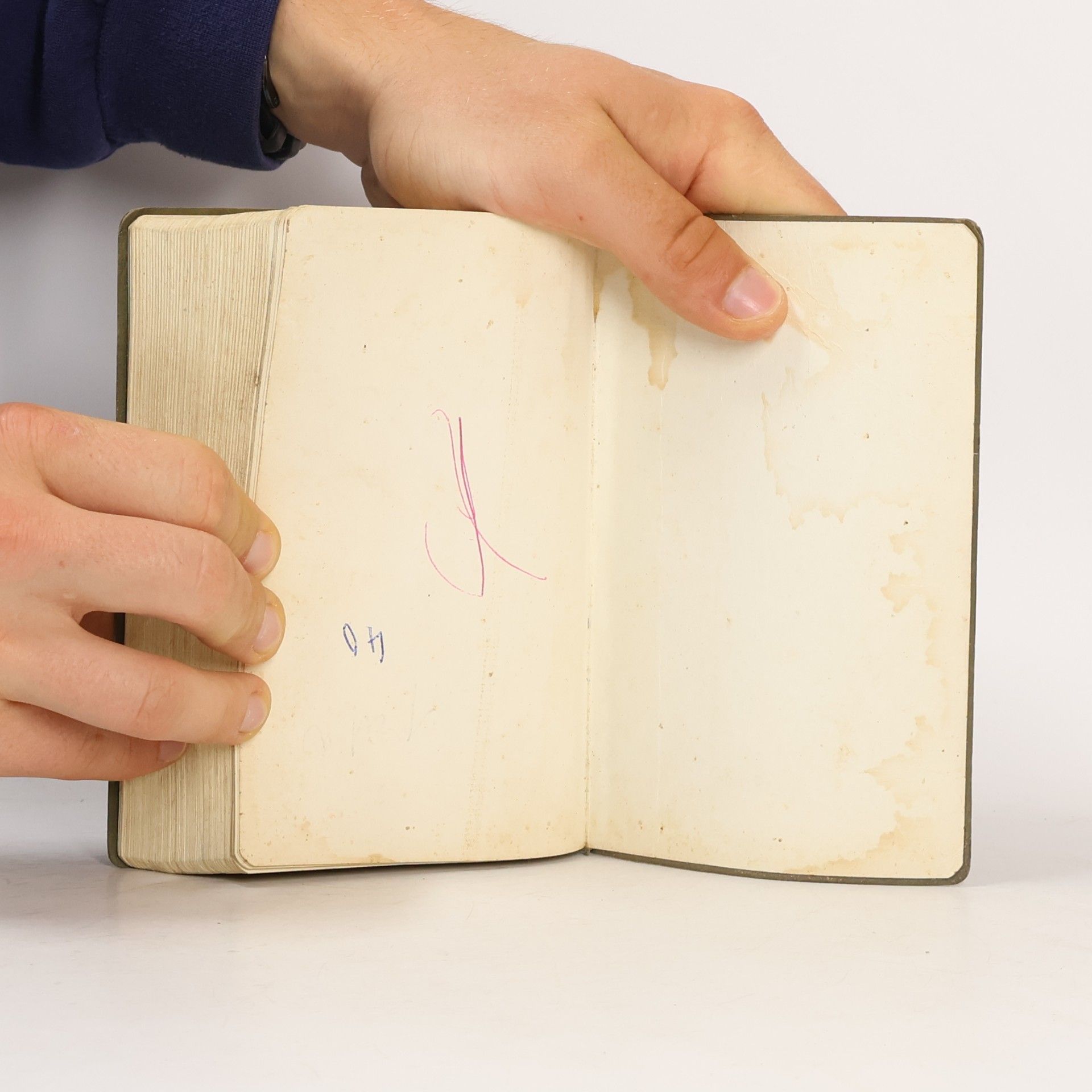 Louis Segond La Sainte Bible